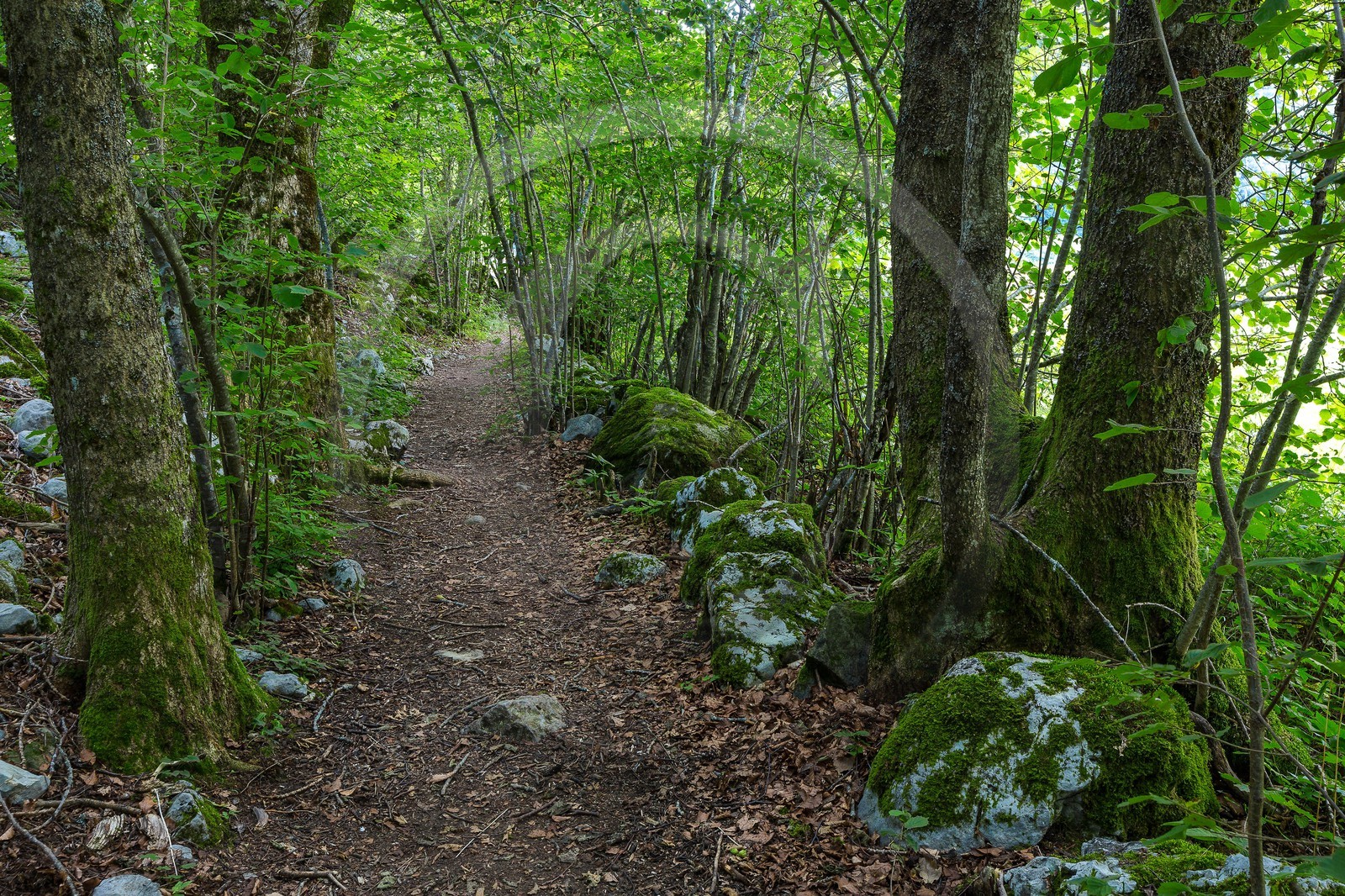 ENS de l'Isère,Tourbières du Peuil