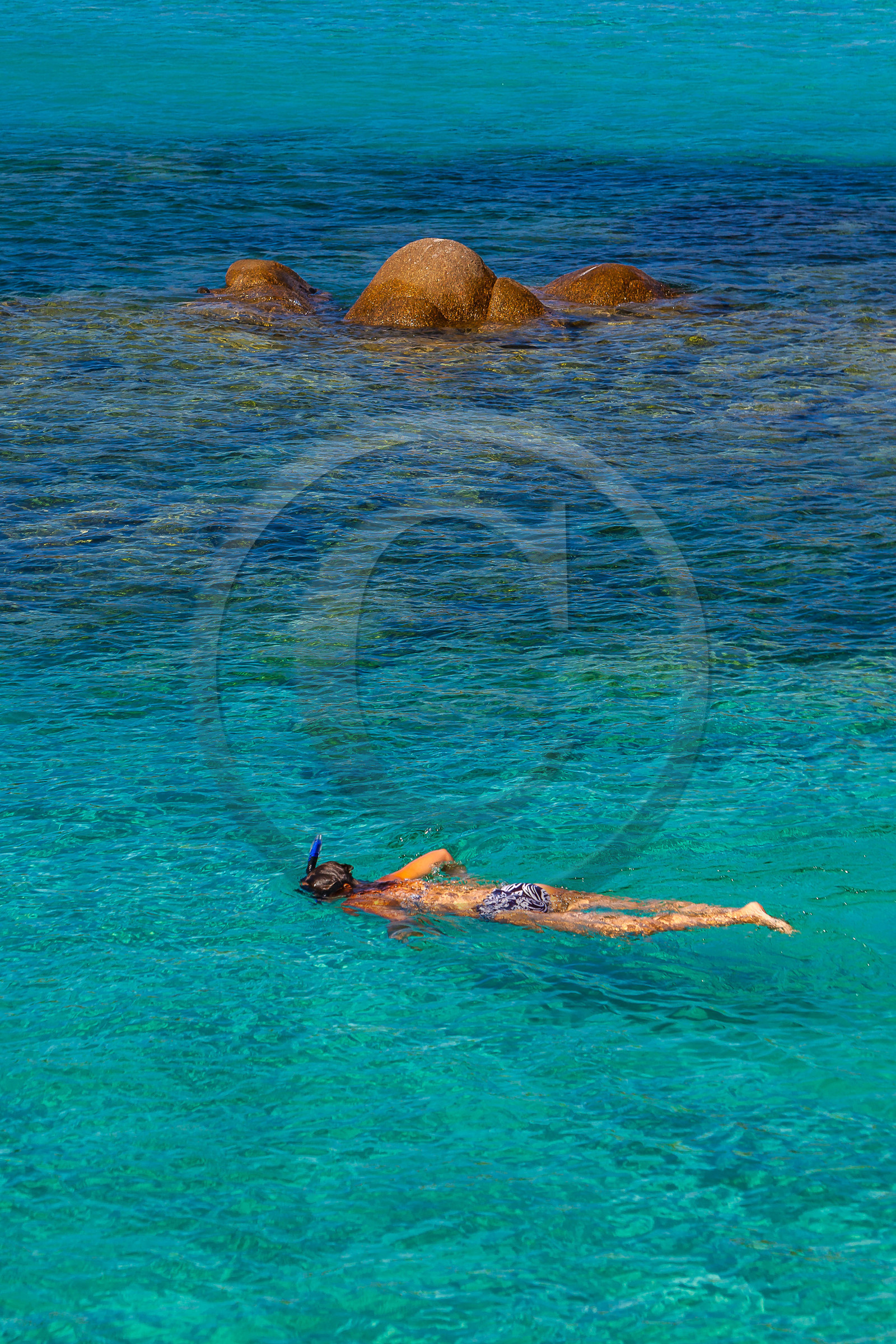 Porto-Vecchio, snorkeling à Palombaggia Porto-Vecchio, snorkeling à Palombaggia