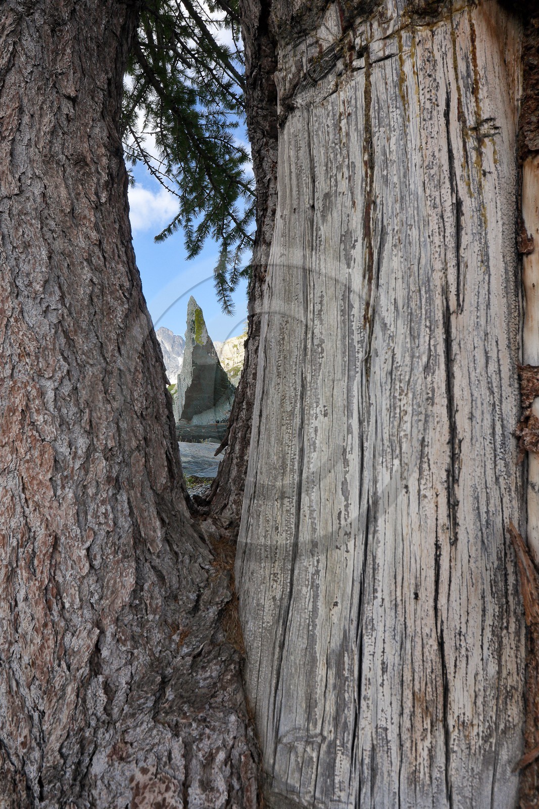 Mont Bégo Mont Bégo