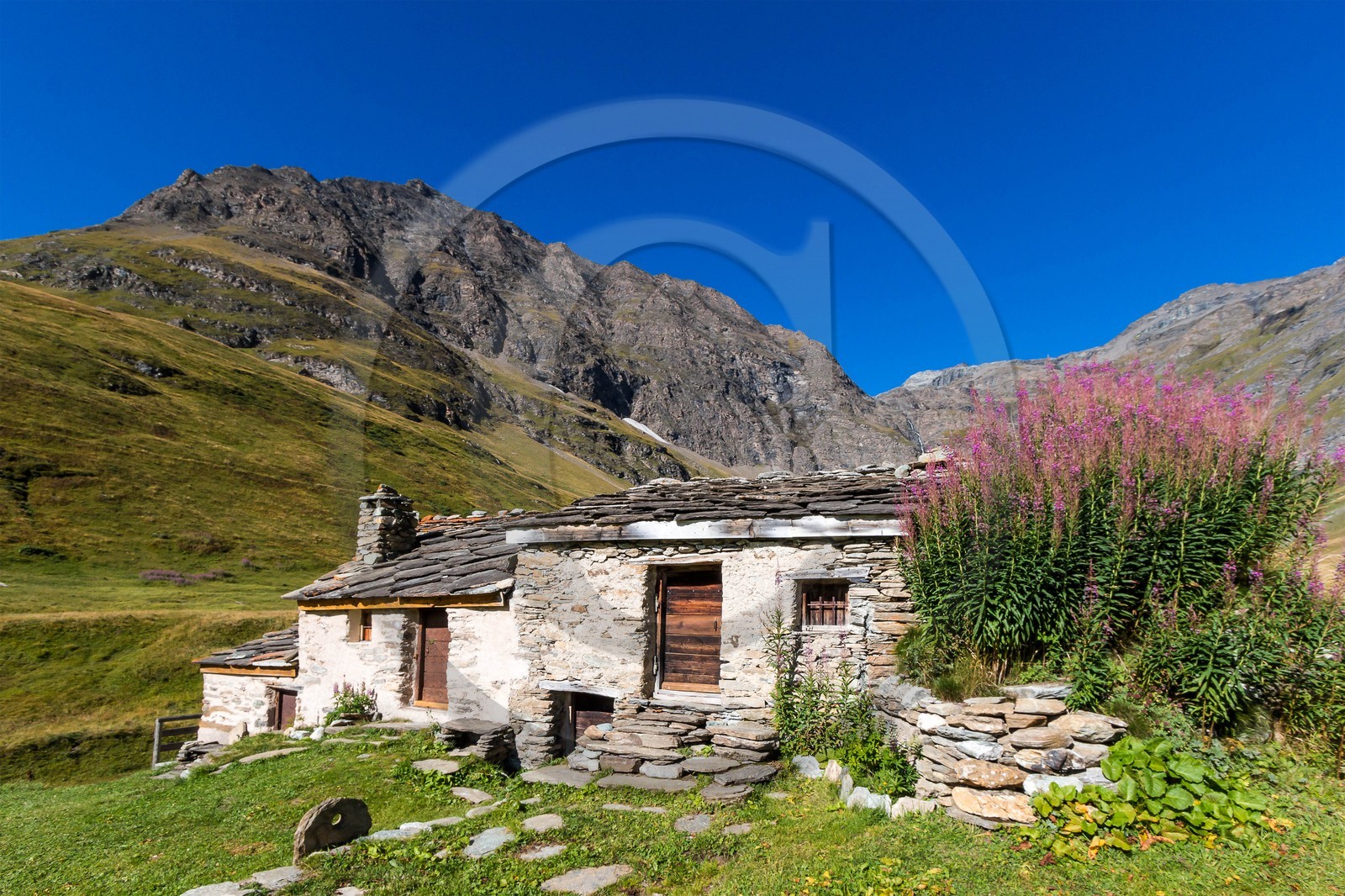 Alpage du Vallon
