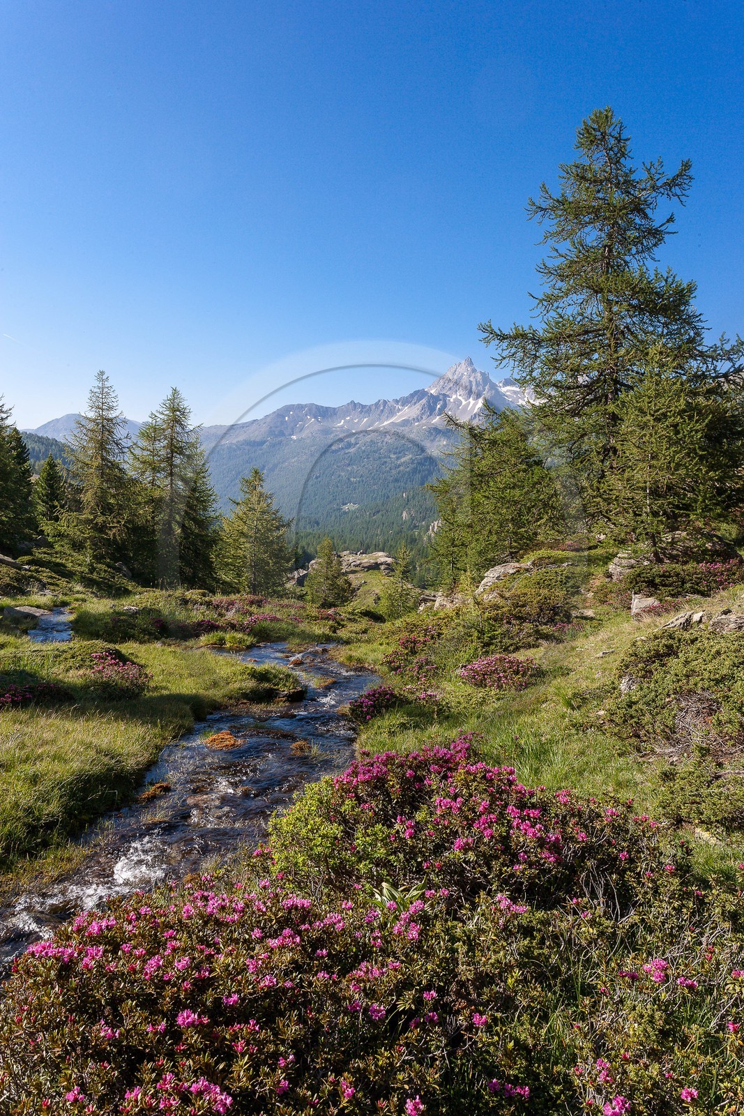 Vallée de la Clarée Vallée de la Clarée