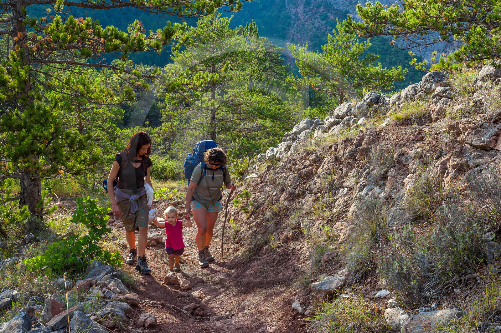 Refuge d'Art Vieil Esclangon d'Andy Goldsworthy