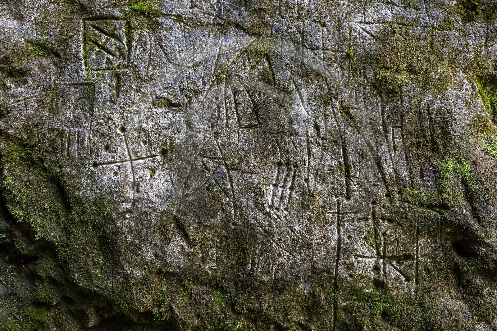 ENS de l'Isère, Plateau de la Molière et du Sornin, Le Puits aux Ecritures, gravures rupestres
