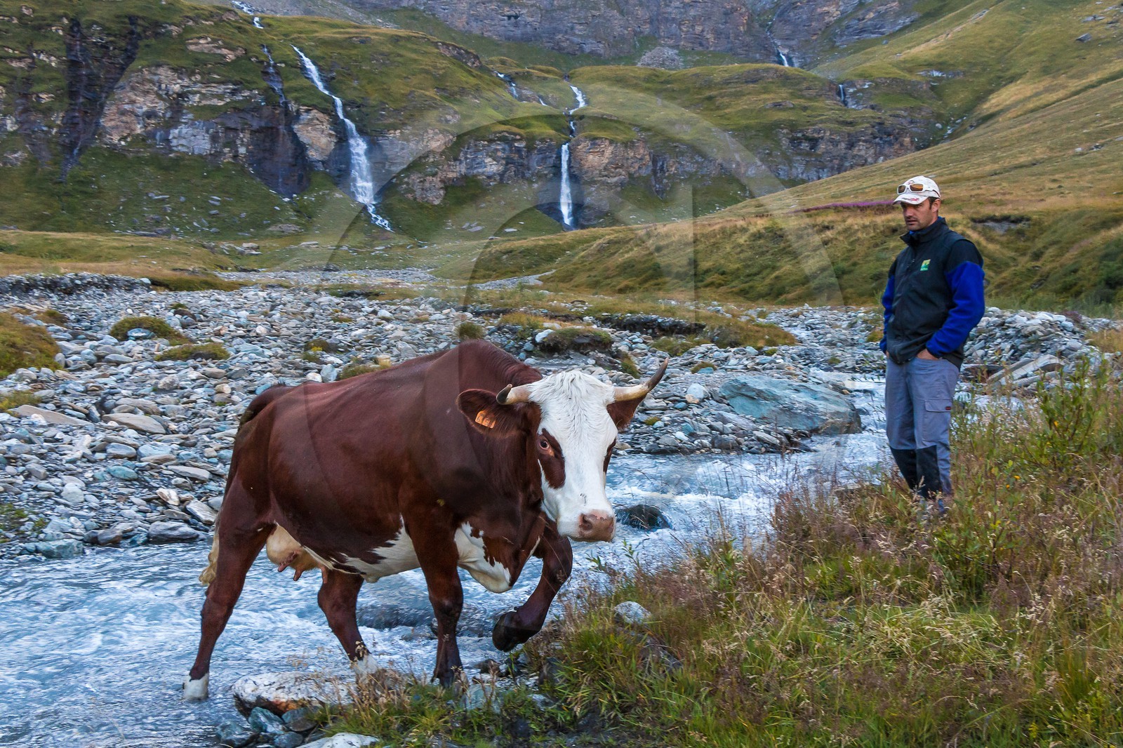 Alpage du Vallon d'en Haut, Sébastien Vincendet