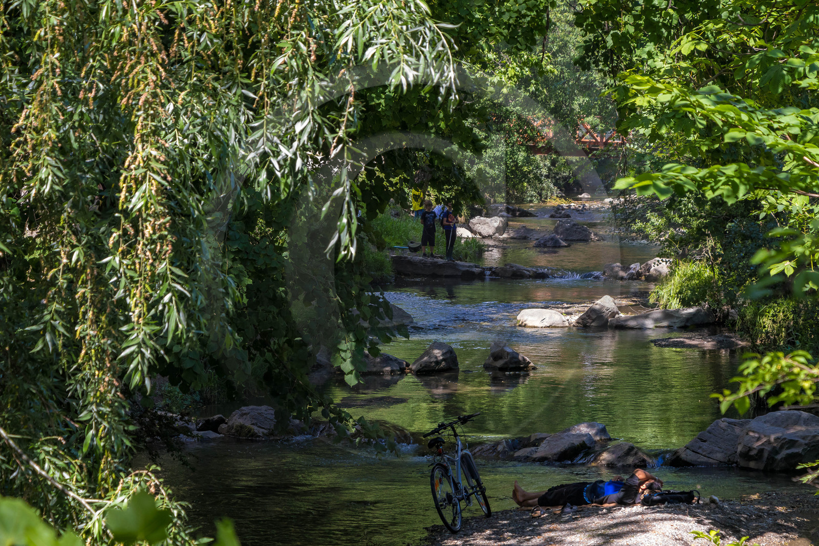 Parc de la Pépinière