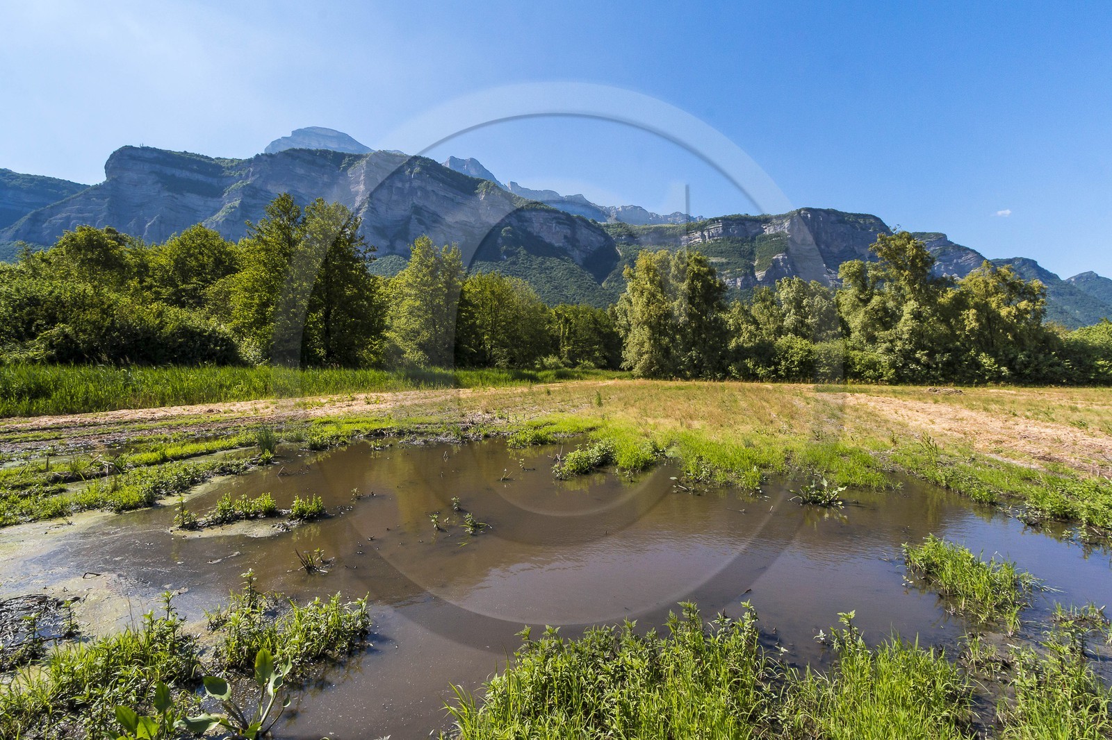 ENS de l'Isère, Marais de Montfort ENS de l'Isère, Marais de Montfort