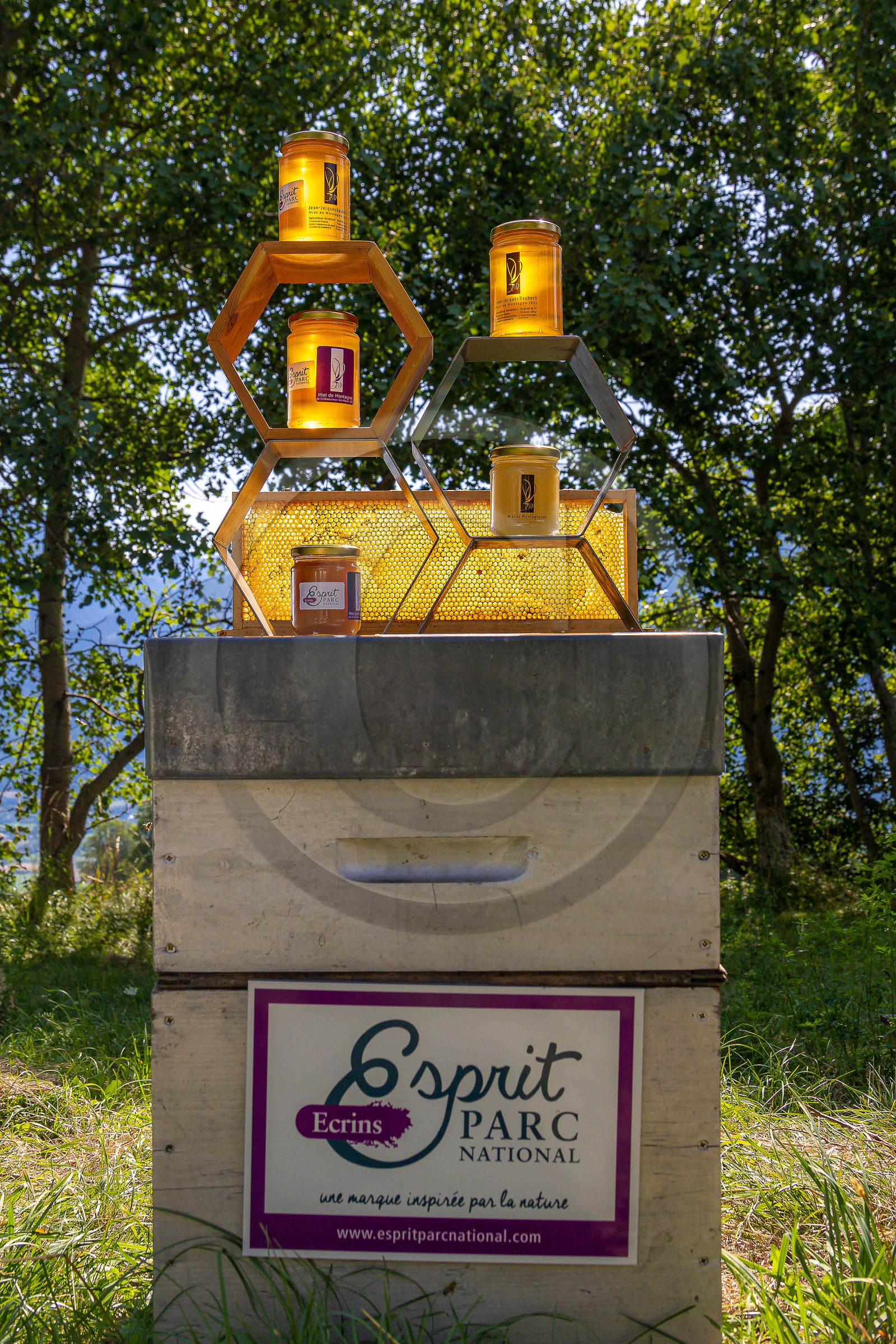 Jean-Jacques Daubert - Apiculteur