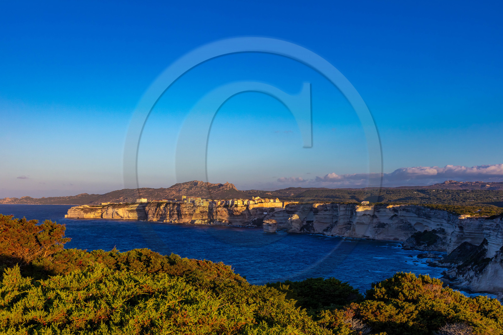 Bonifacio