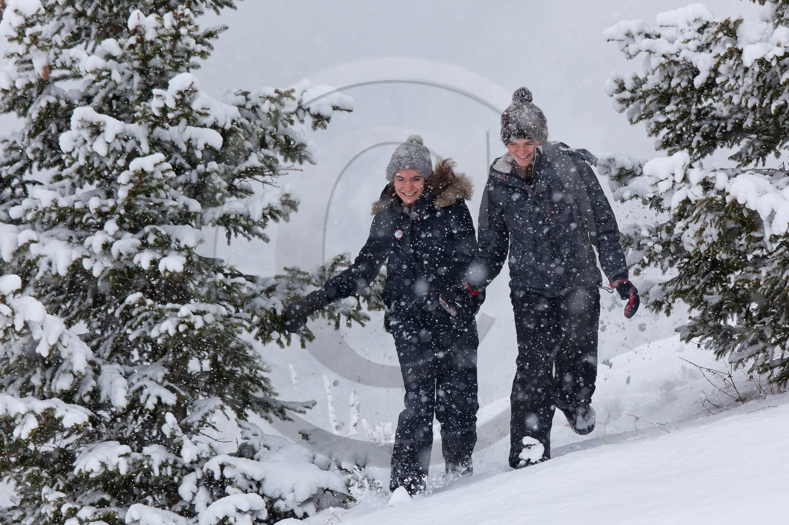 Hiver, randonnée balade sous la neige