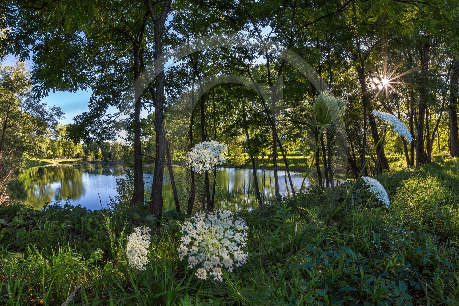 ENS de l'Isère, espace alluvial de la Rolande ENS de l'Isère, espace alluvial de la Rolande