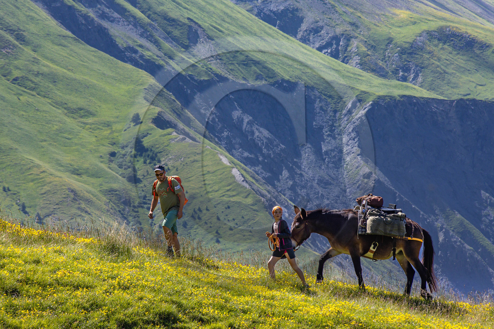 Trek famille avec animaux de bats