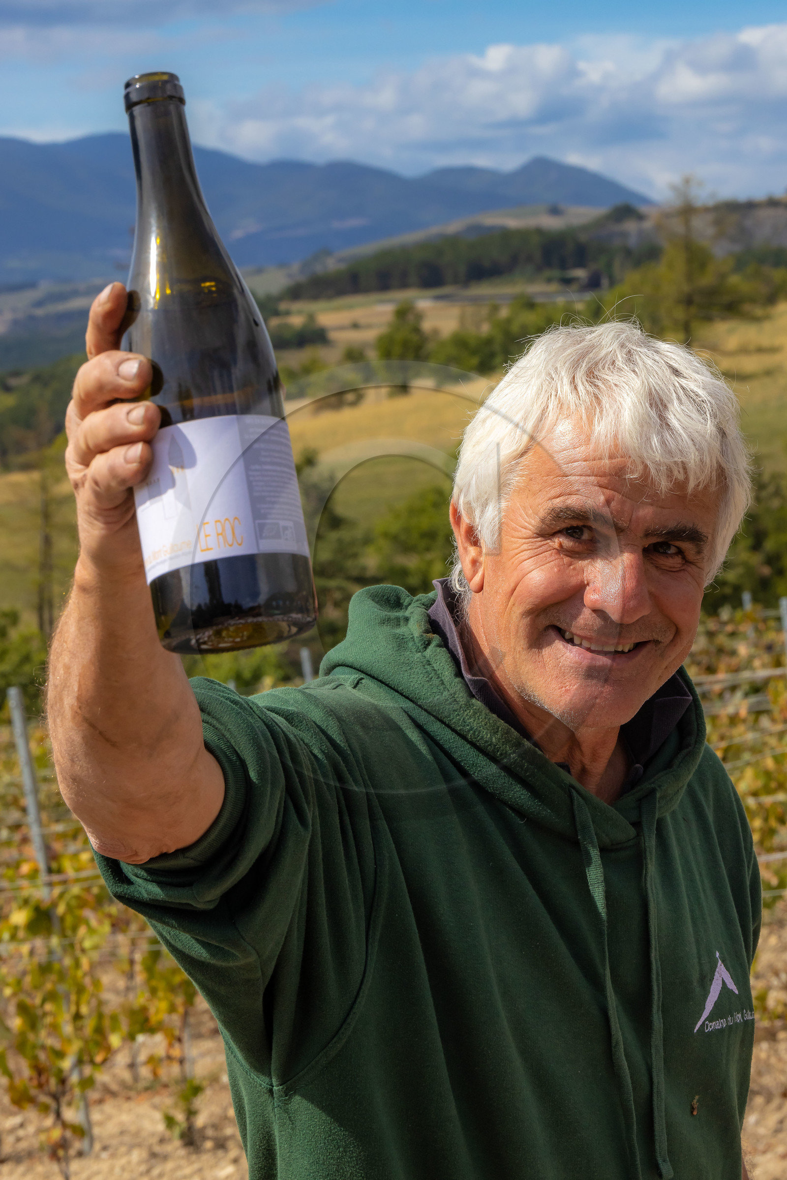 Domaine du Mont Guillaume