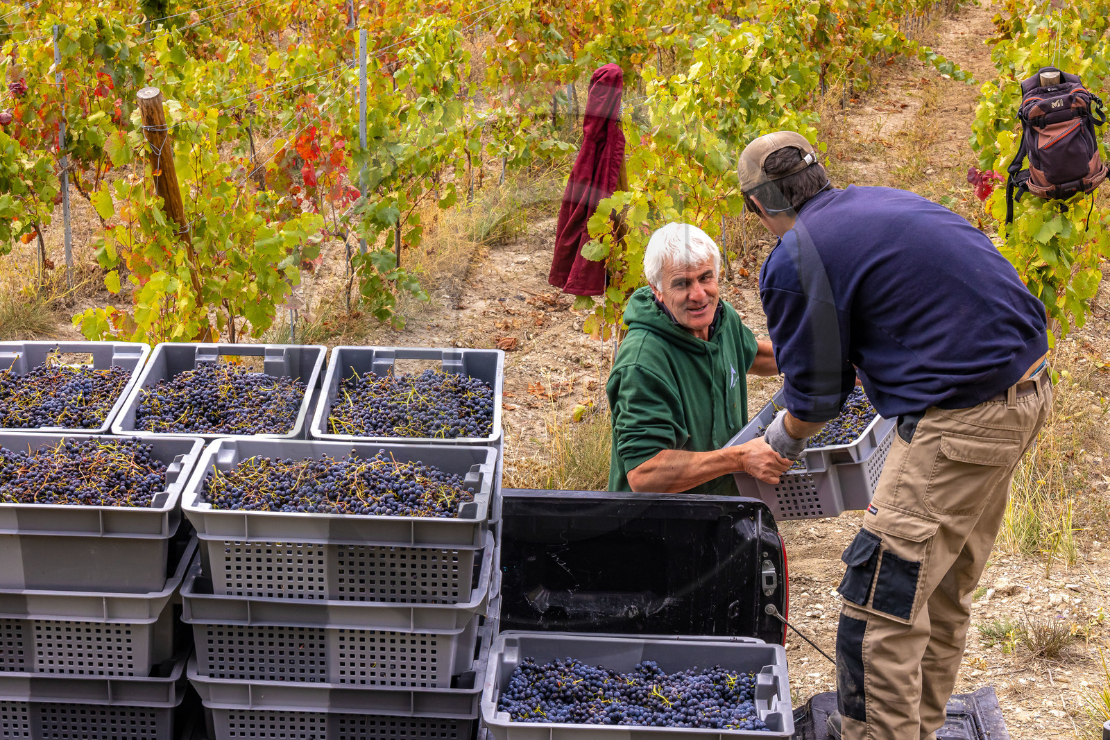 Domaine du Mont Guillaume Domaine du Mont Guillaume