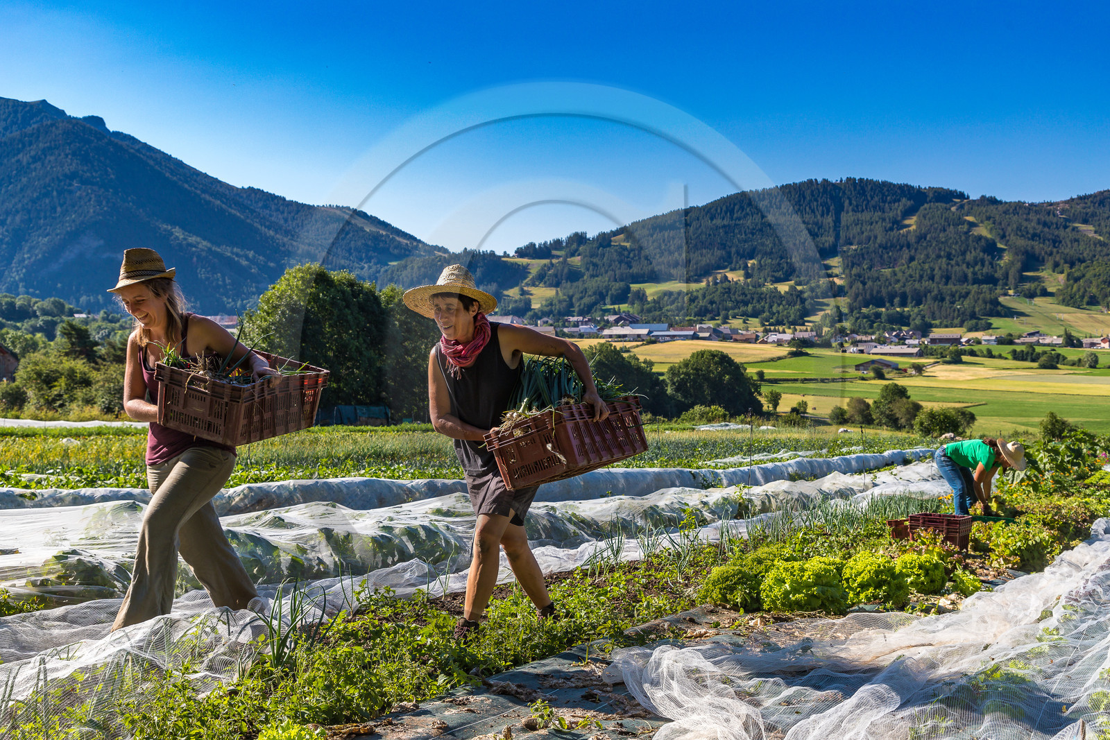 LéguMontagne, Sylvie Jaussaud et  Bertille Gieu, Maraîchères bio LéguMontagne, Sylvie Jaussaud et  Bertille Gieu, Maraîchères bio