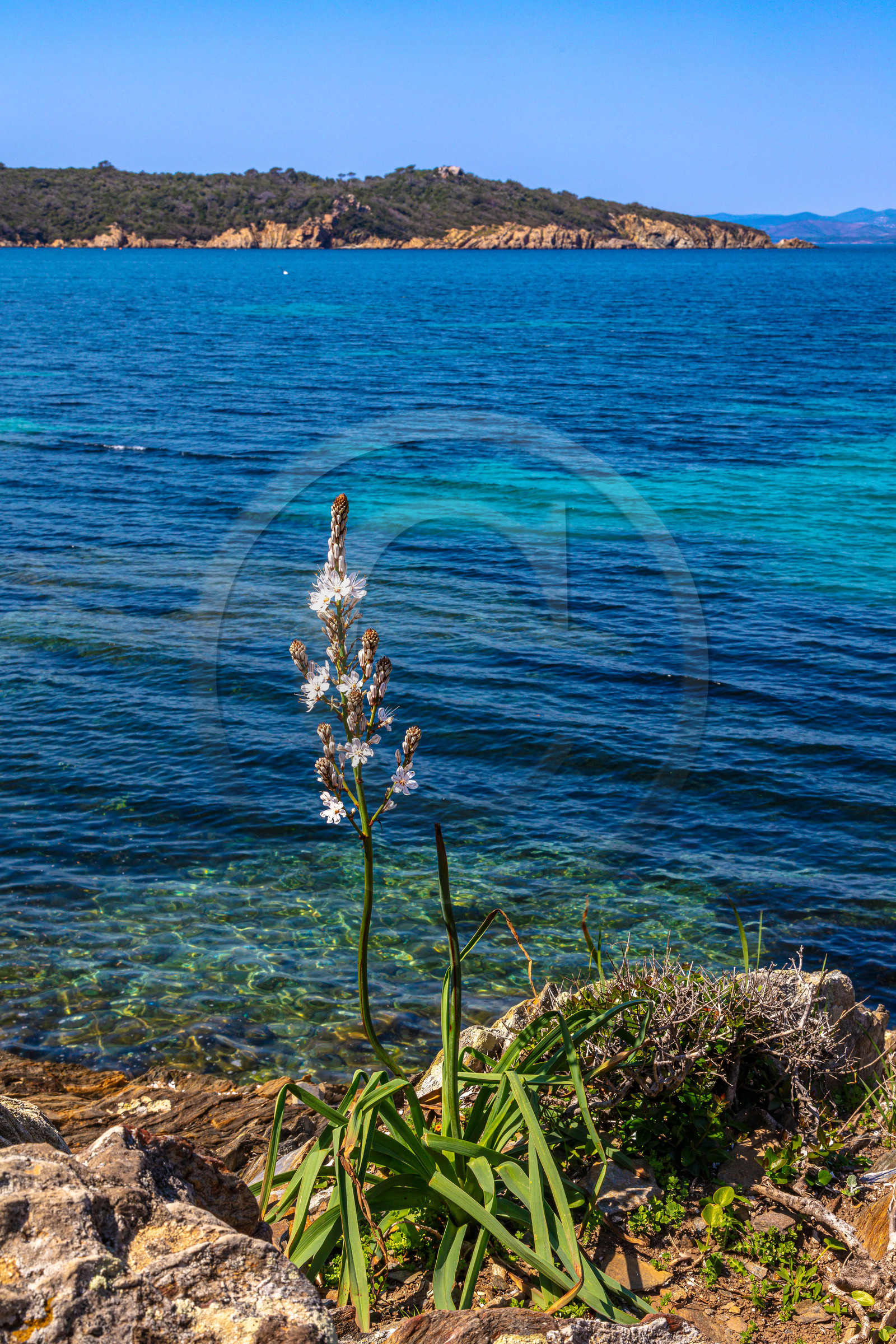 Parc national de Port-Cros Parc national de Port-Cros