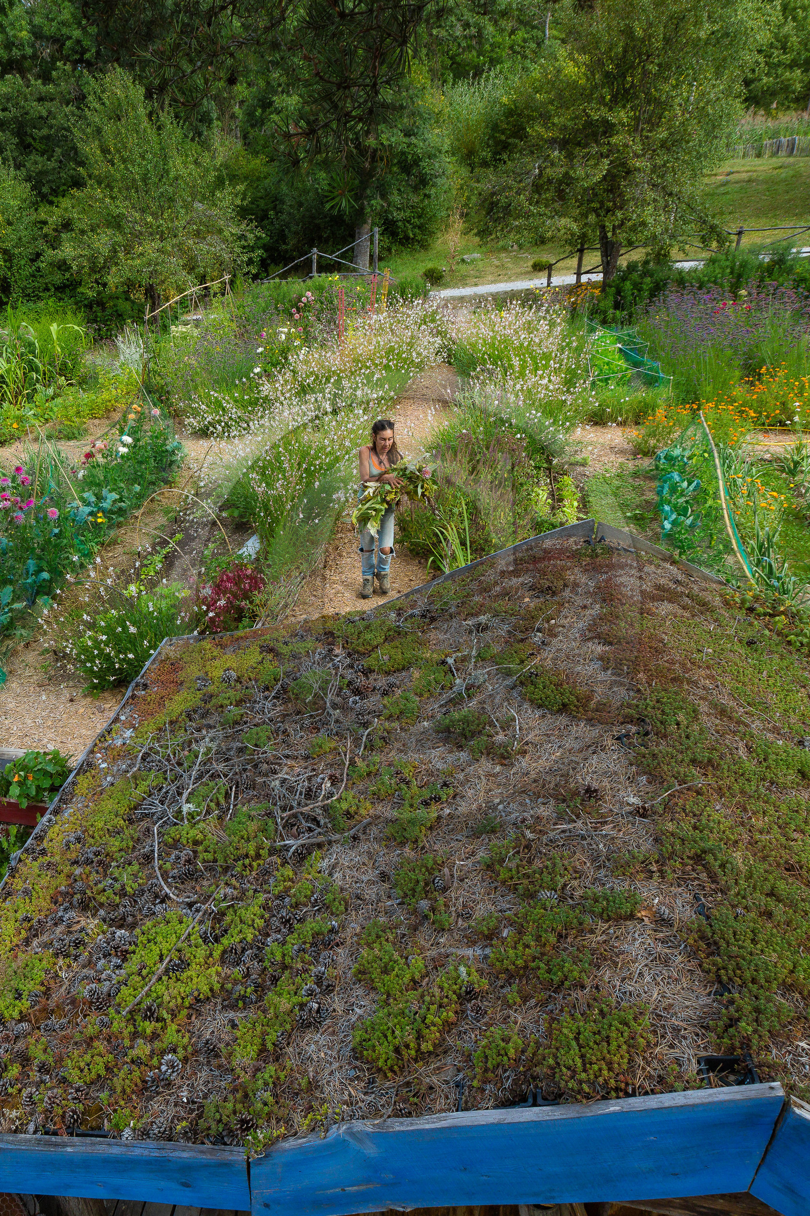 Parc écologique Terre Vivante