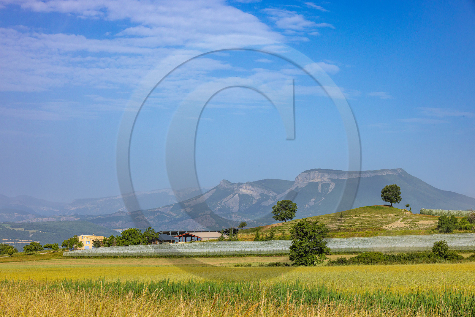 Melve, Gaec de la Maurelle Melve, Gaec de la Maurelle