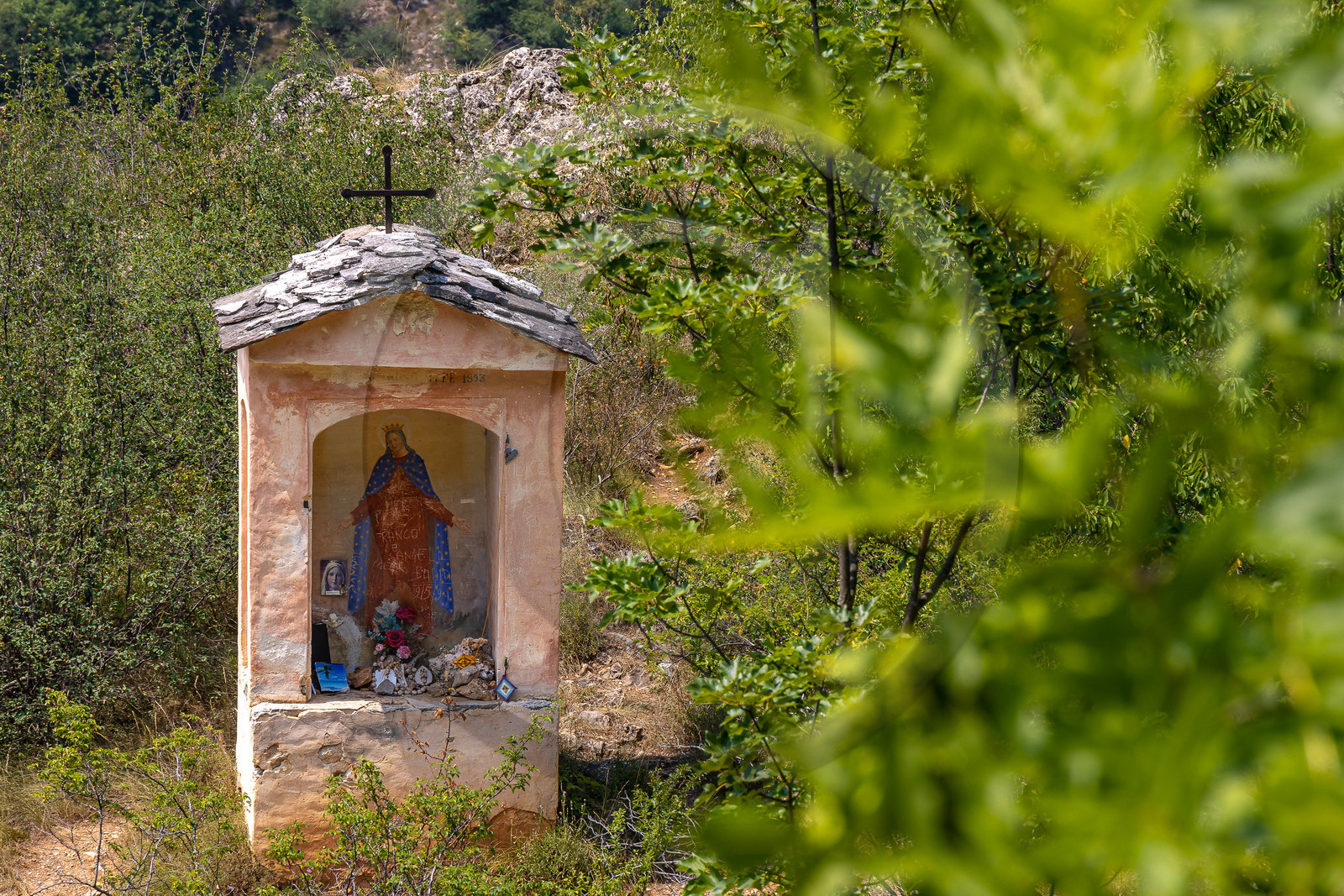 Camoglieres, sentier des cyclamens