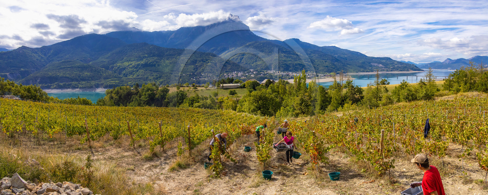 Domaine du Mont Guillaume Domaine du Mont Guillaume