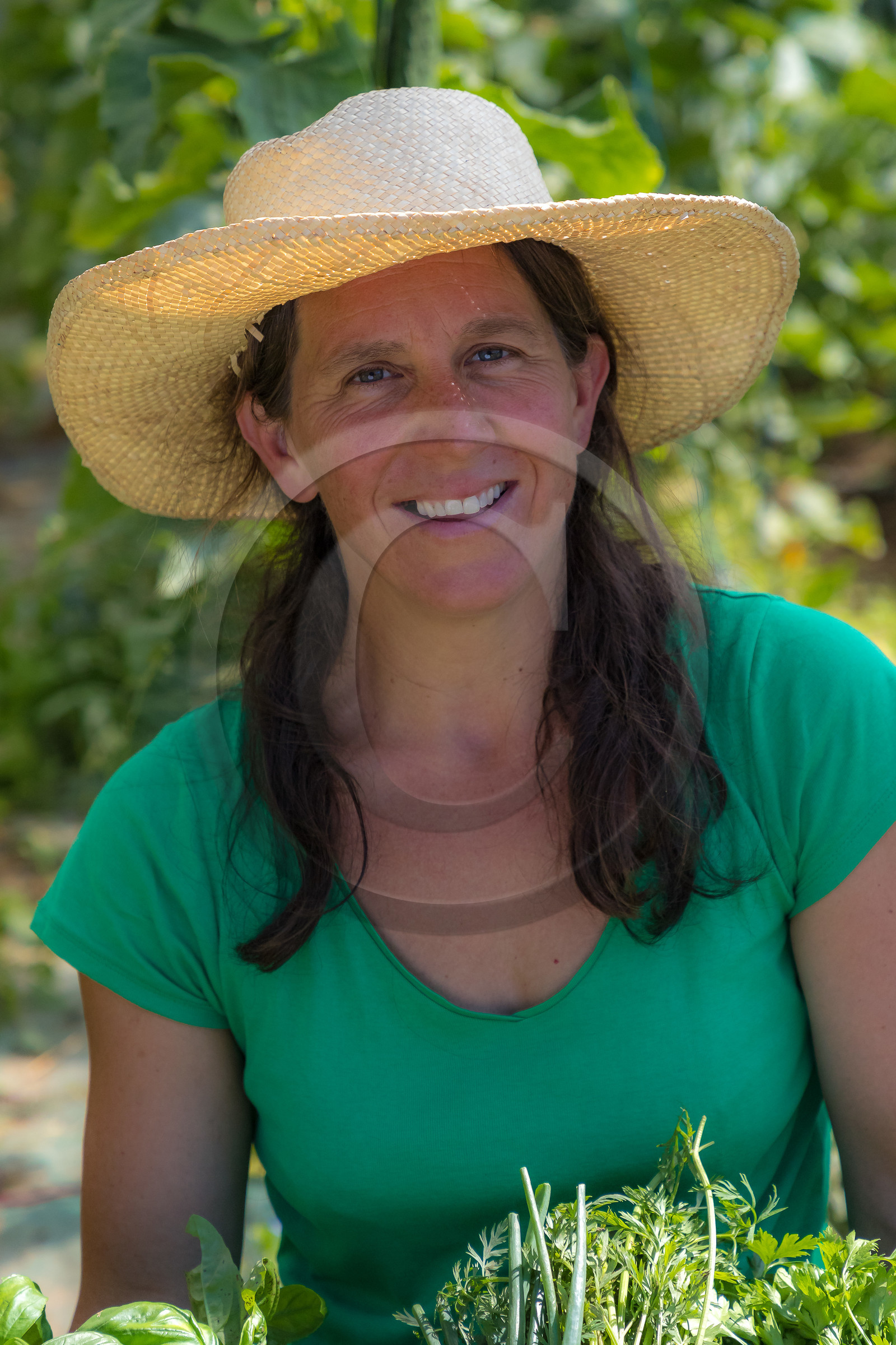 LéguMontagne Sylvie Jaussaud , Maraîchères bio LéguMontagne Sylvie Jaussaud , Maraîchères bio