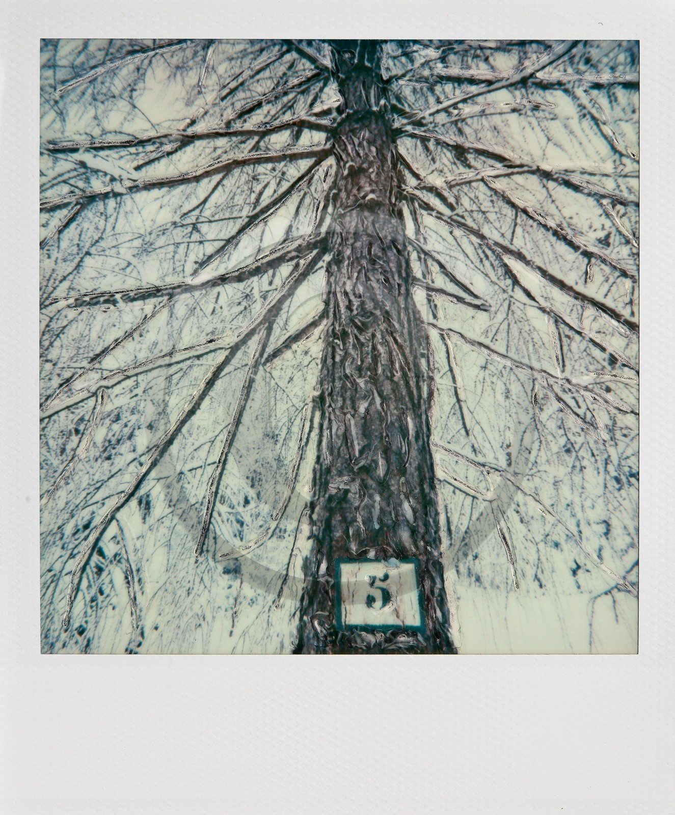 Exposition Arbres et petites forêts, éloge de la biodiversité