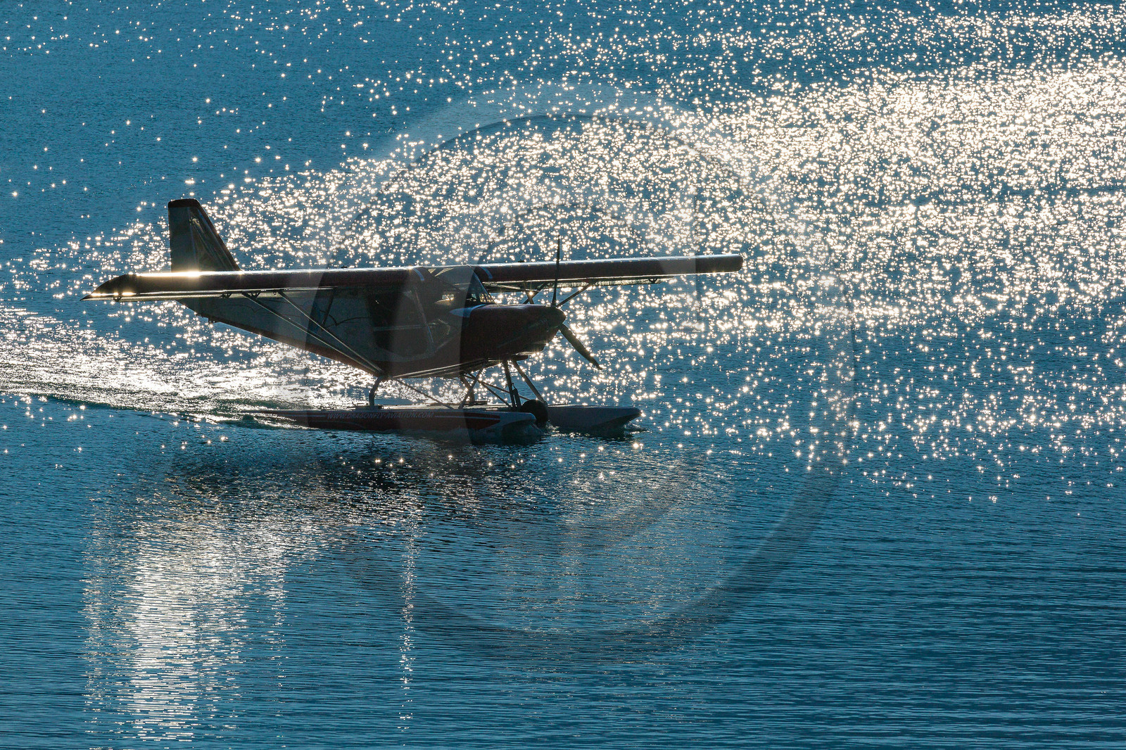 Dragonfly Aviation
