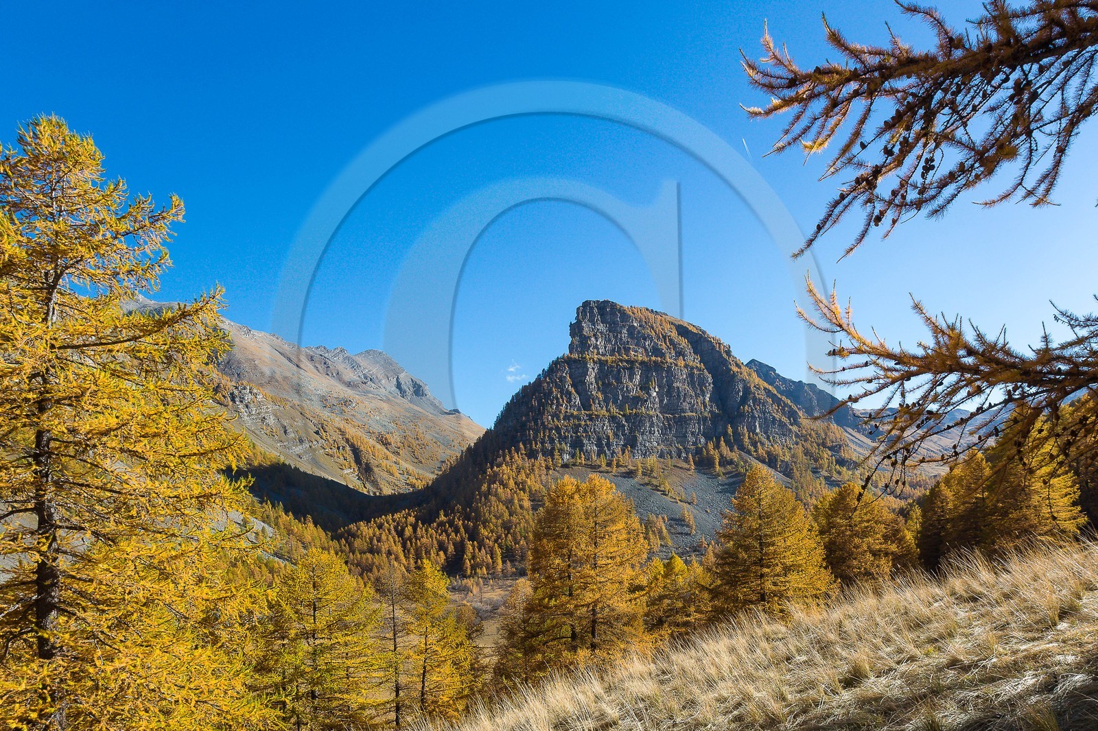 Jausiers, Lac des Sagnes et forêt de mélèzes à l'automne Jausiers, Lac des Sagnes et forêt de mélèzes à l'automne