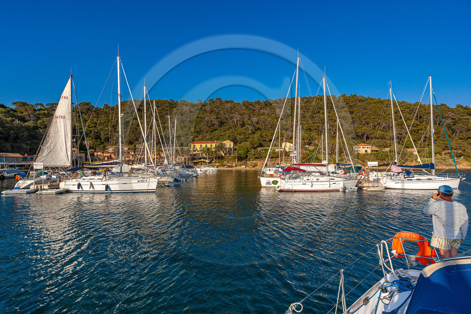 Parc national de Port-Cros Parc national de Port-Cros