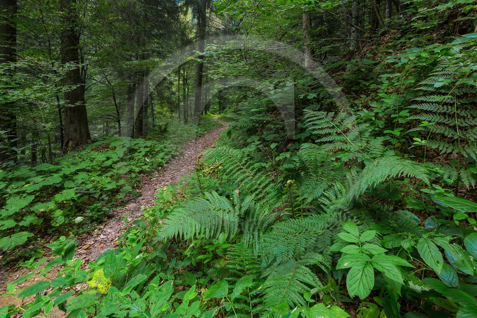 ENS de l'Isère, Les Ecouges