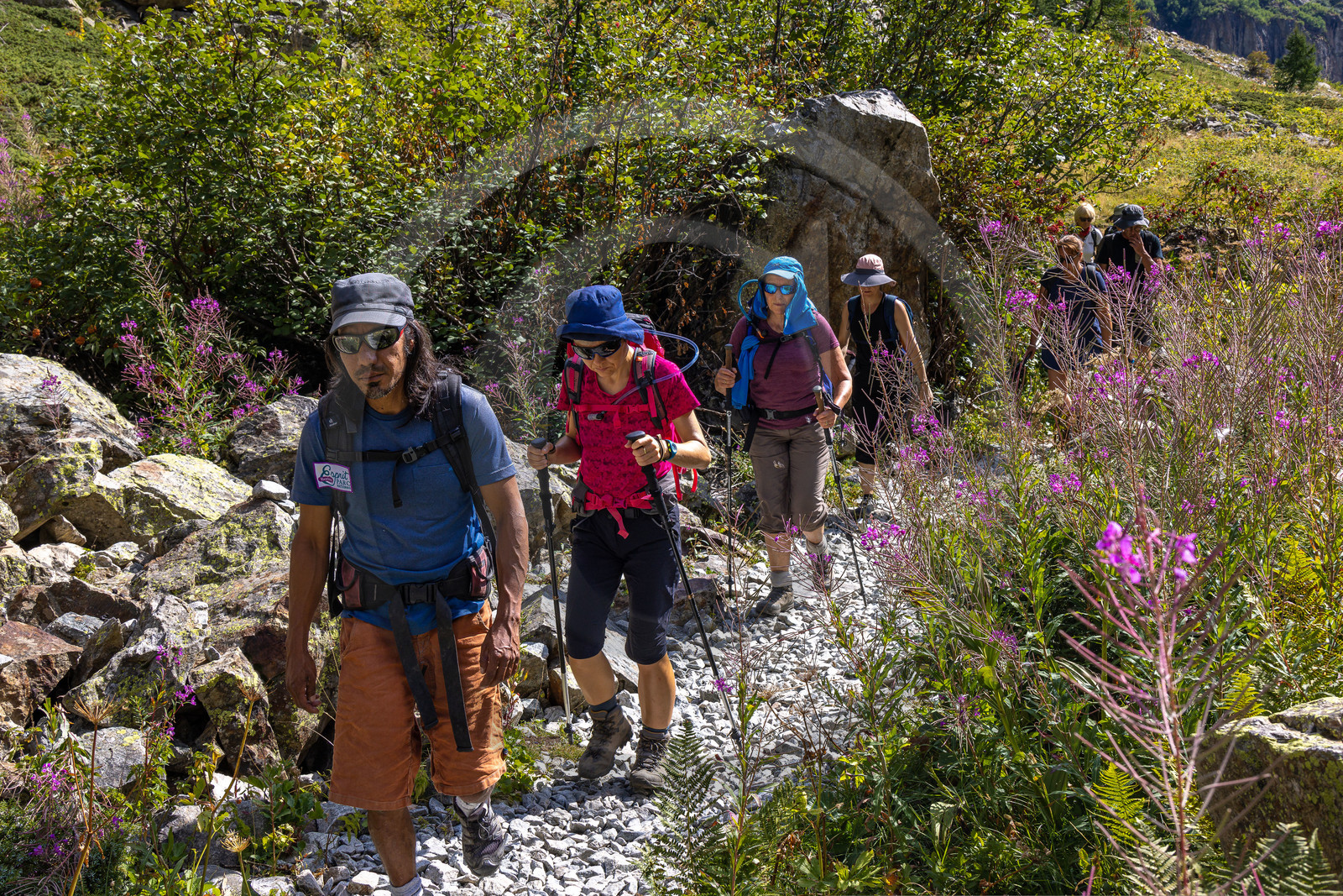 Vallon des Bans