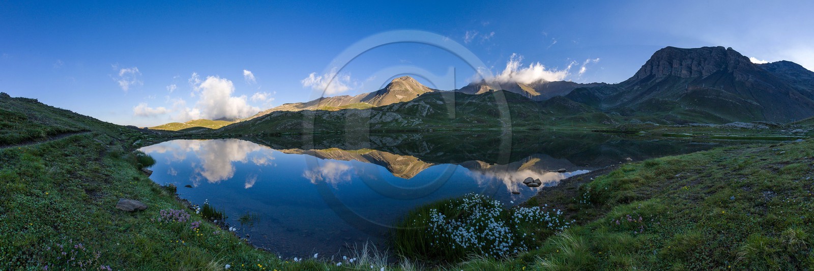Orcières 1850, linaigrettes au lac Jumeaux et le Roc Diolon Orcières 1850, linaigrettes au lac Jumeaux et le Roc Diolon