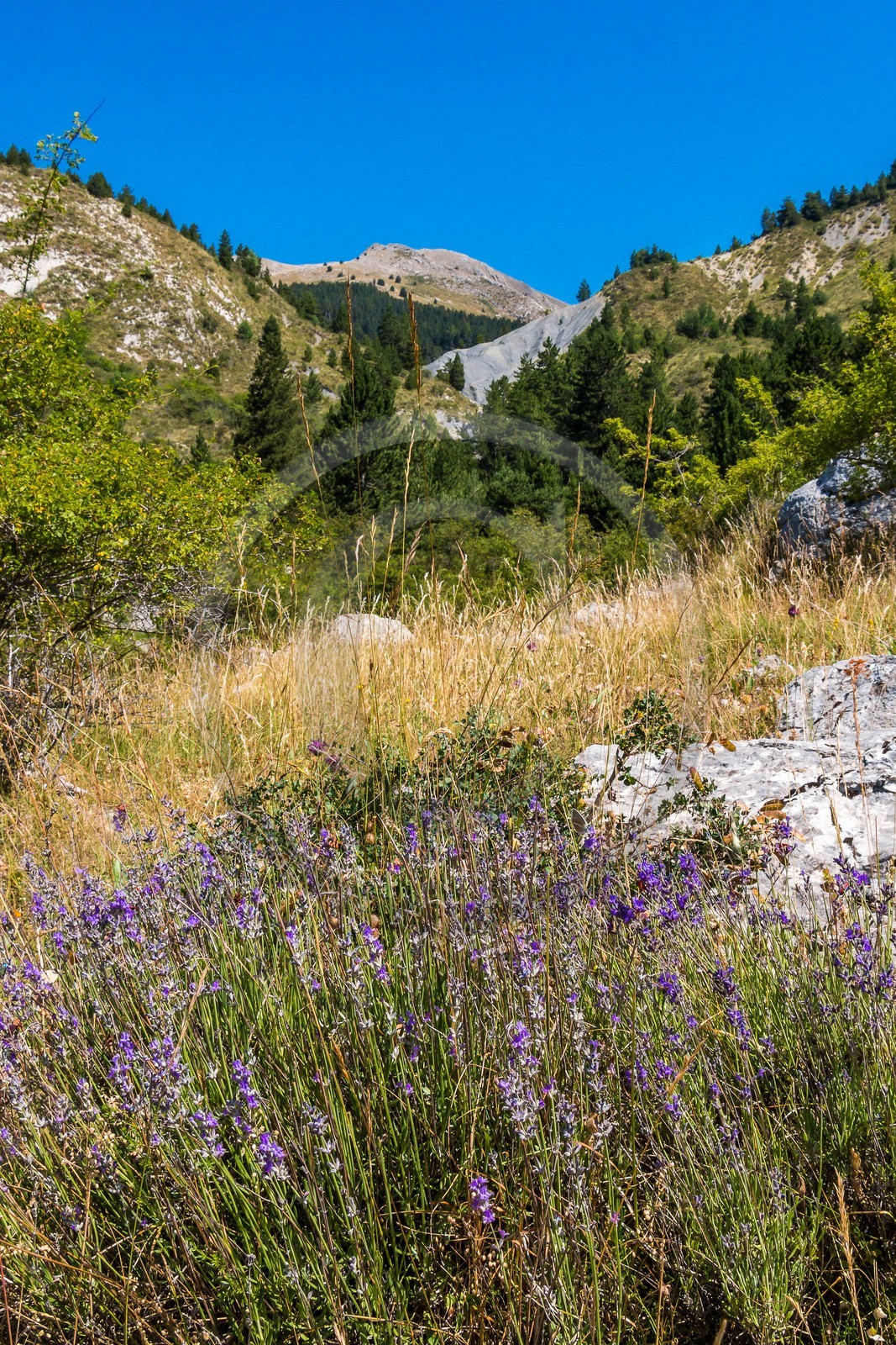 GR6 Tour des Monges