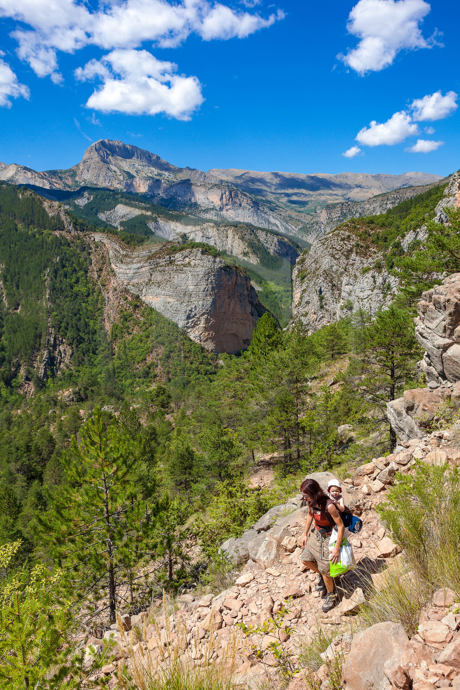 Refuge d'Art Vieil Esclangon d'Andy Goldsworthy Refuge d'Art Vieil Esclangon d'Andy Goldsworthy