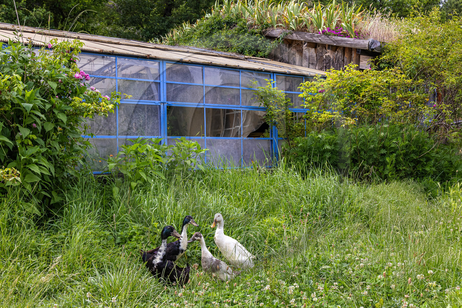 Nibles, Camping à la ferme Agri-Yourte Nibles, Camping à la ferme Agri-Yourte