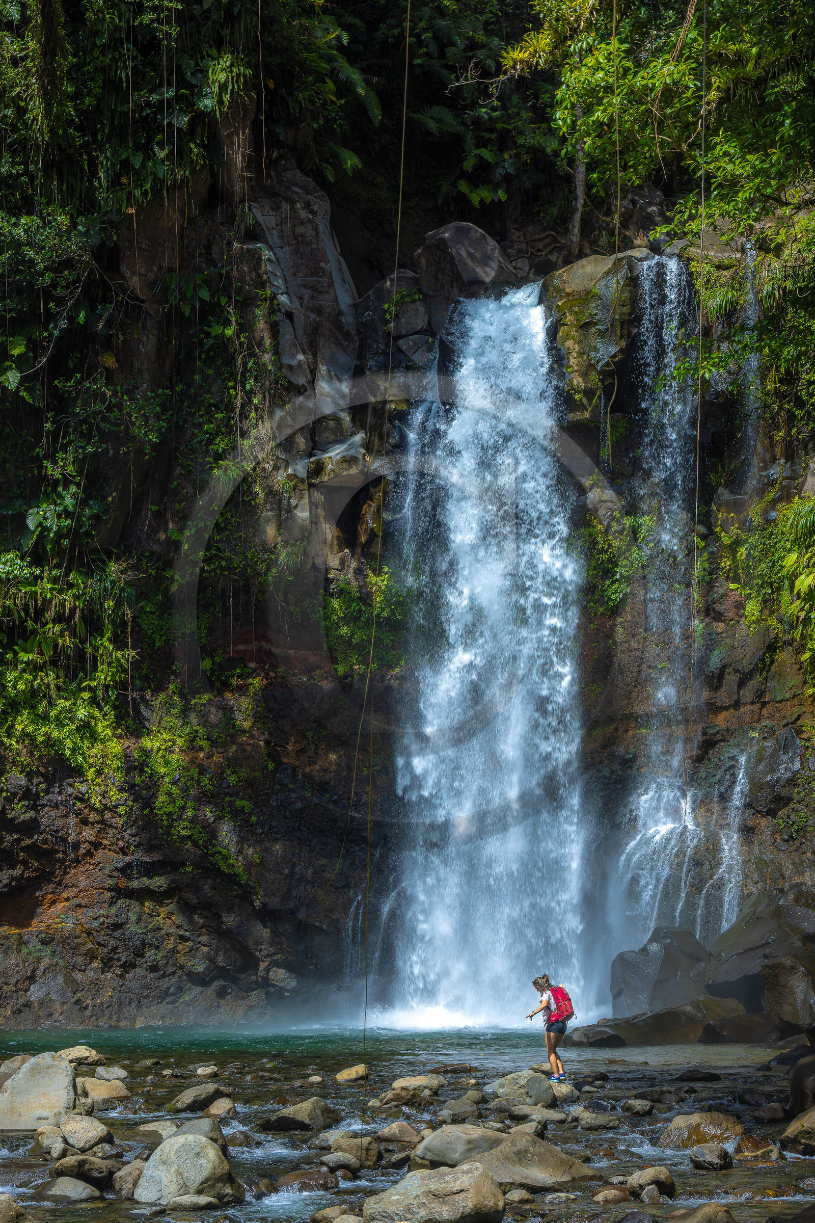 Chute du Carbet, Parc national de la Guadeloupe Chute du Carbet, Parc national de la Guadeloupe