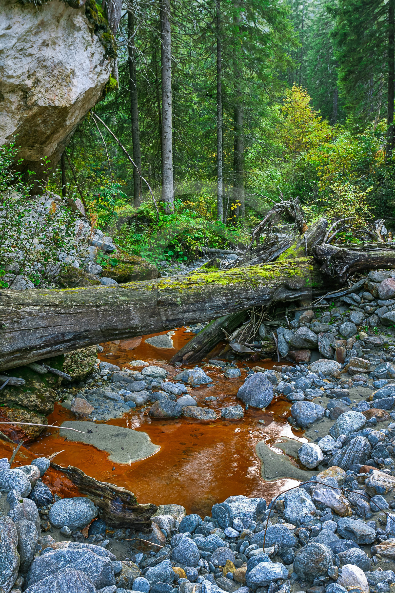 Réserve naturelle des Contamines-Montjoie, source ferrugineuse dans le torrent de Tré-la-Tête
