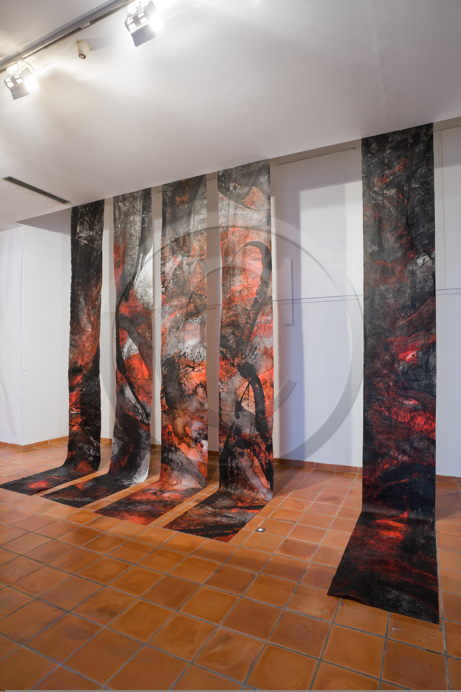 Gap, Musée Muséum départemental des Hautes-Alpes