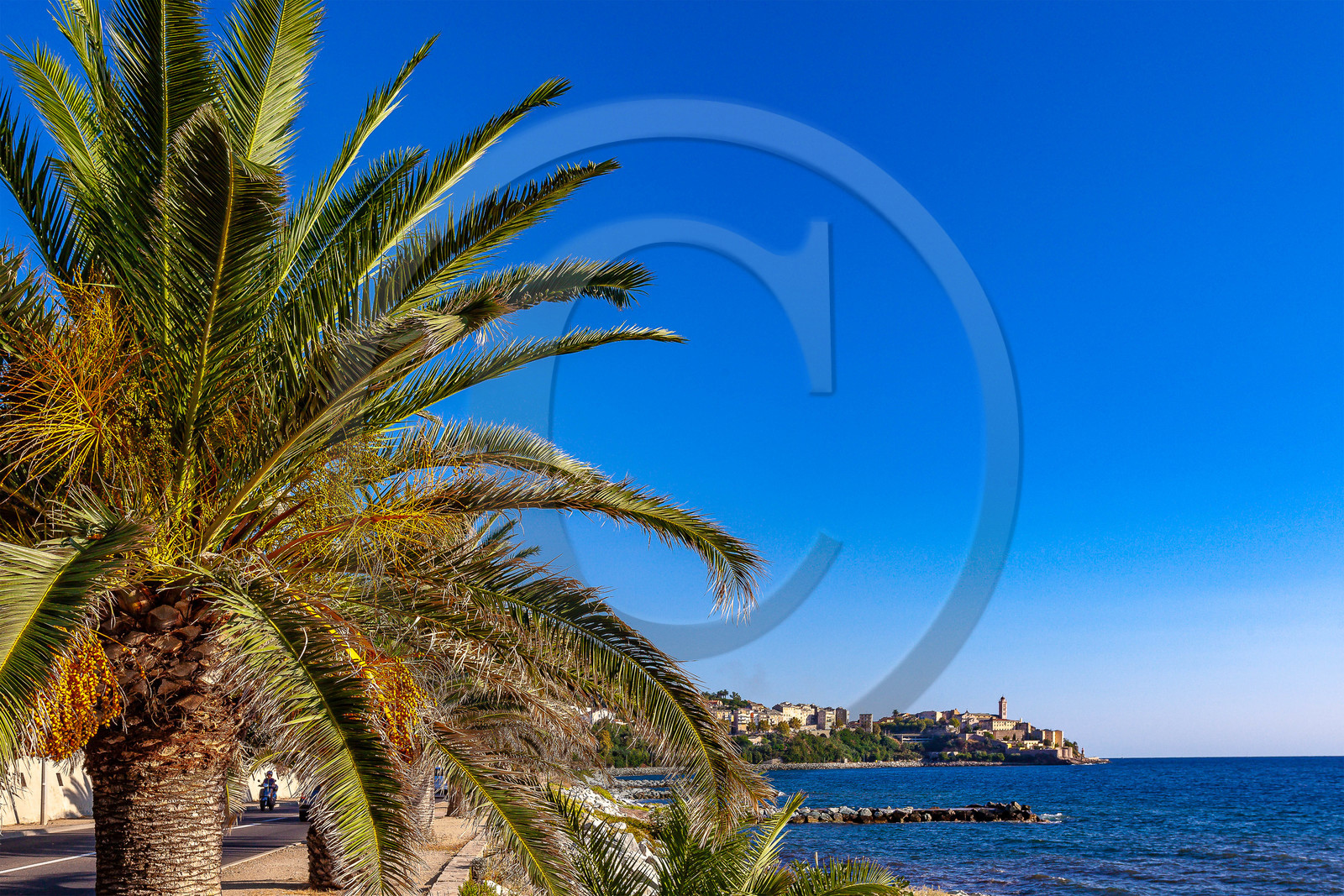 Bastia