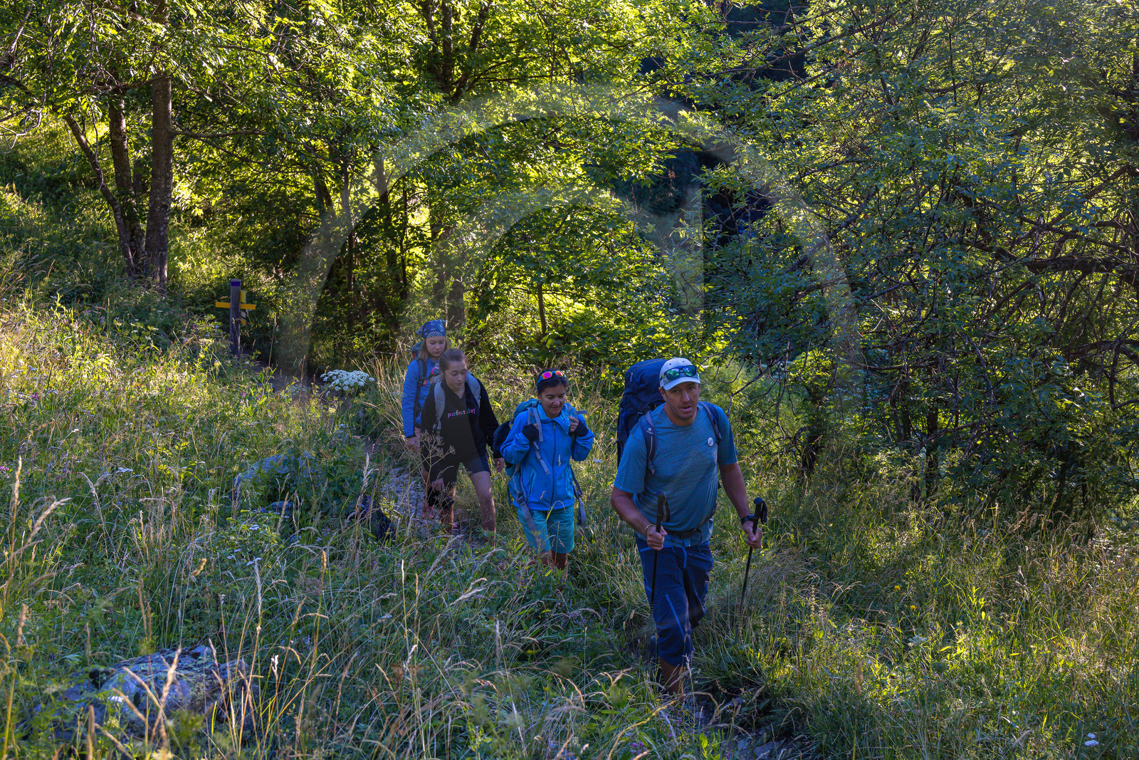 Vallée de Freissinières