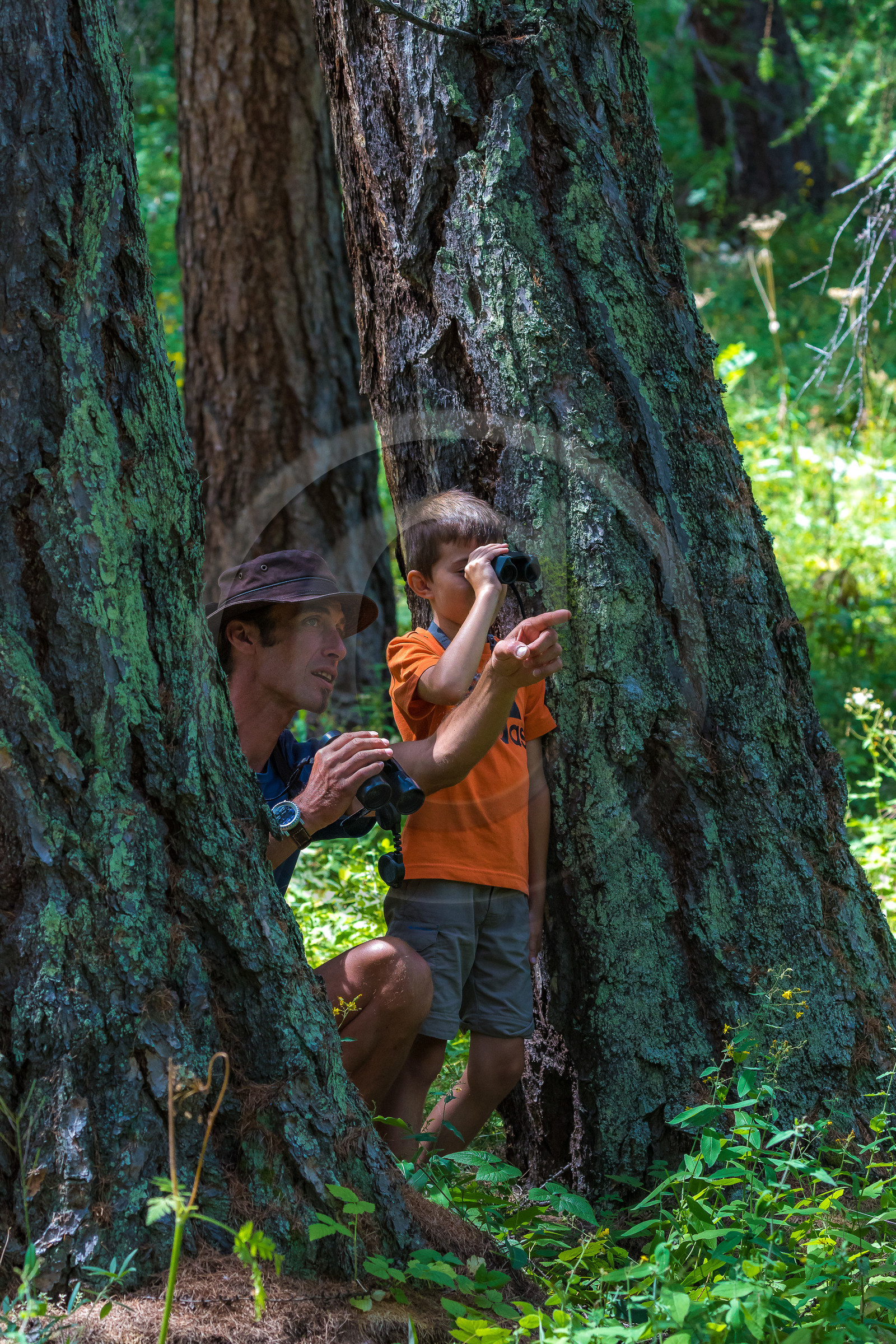Curieux de nature, sortie découverte avec Cyril Mahout Curieux de nature, sortie découverte avec Cyril Mahout