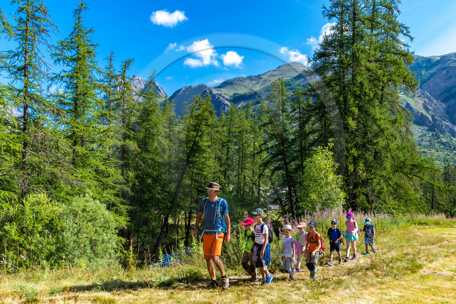 Curieux de nature, sortie découverte avec Cyril Mahout