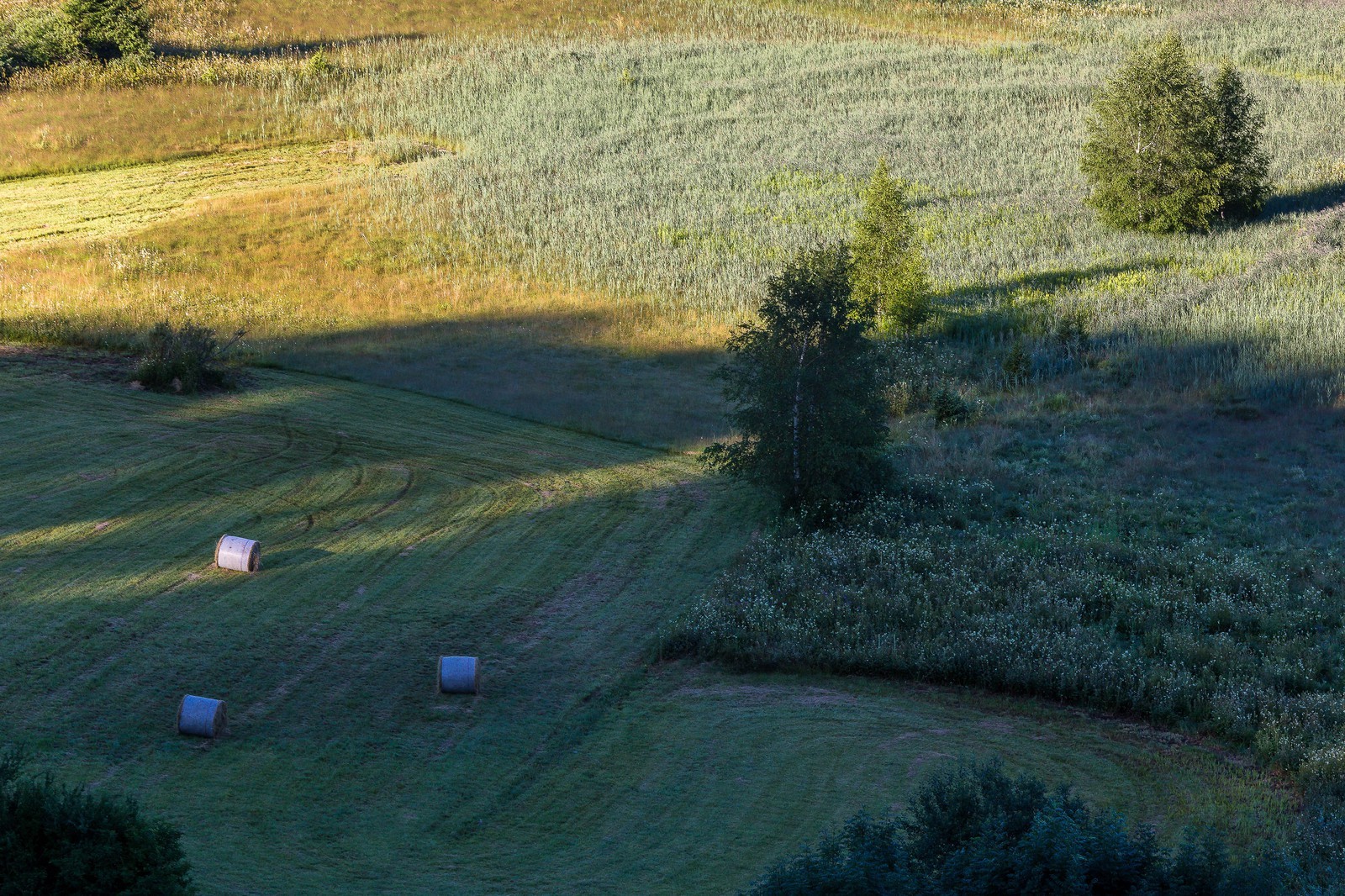 ENS de l'Isère, Marais des Sagnes ENS de l'Isère, Marais des Sagnes