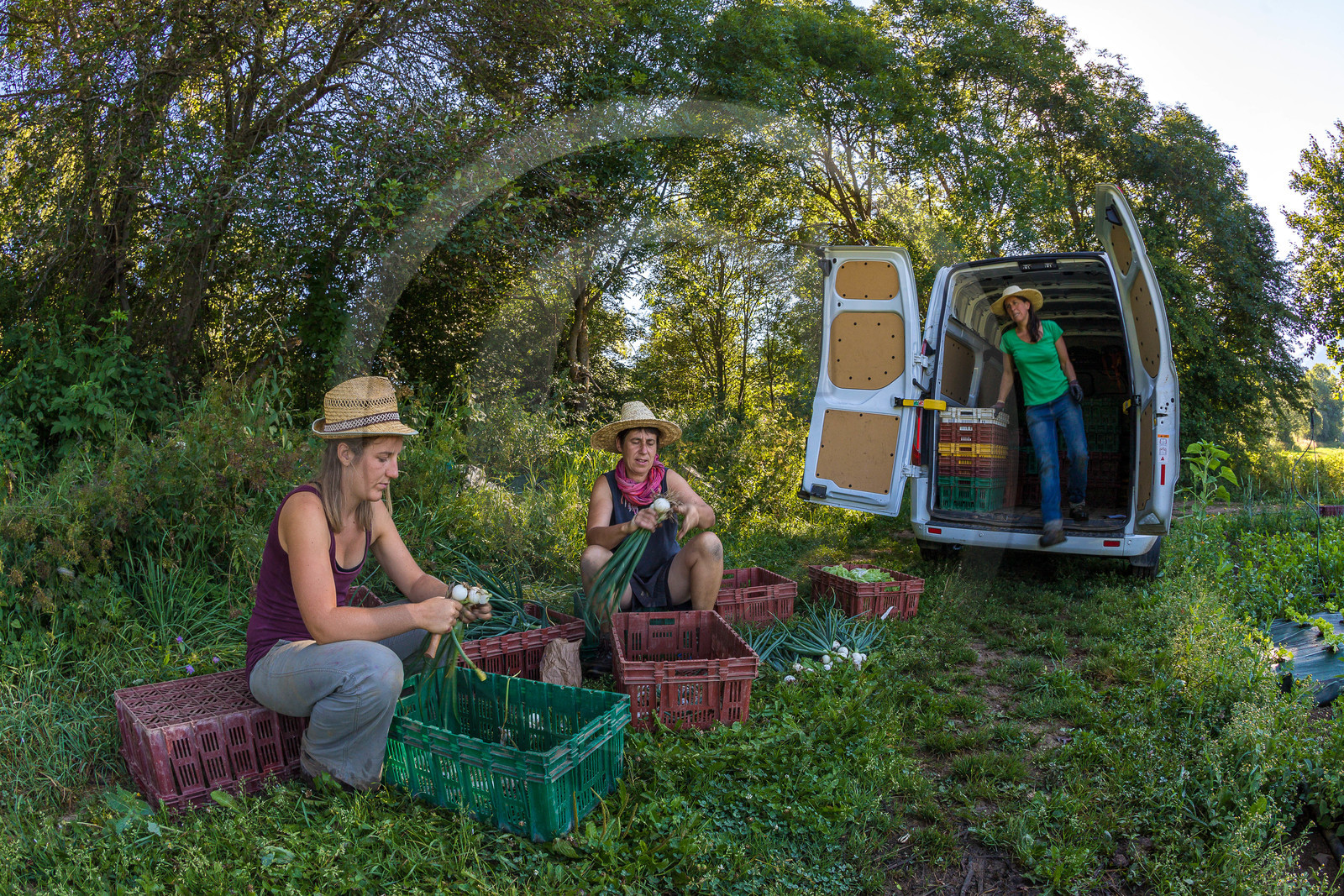 LéguMontagne, Sylvie Jaussaud et  Bertille Gieu, Maraîchères bio LéguMontagne, Sylvie Jaussaud et  Bertille Gieu, Maraîchères bio