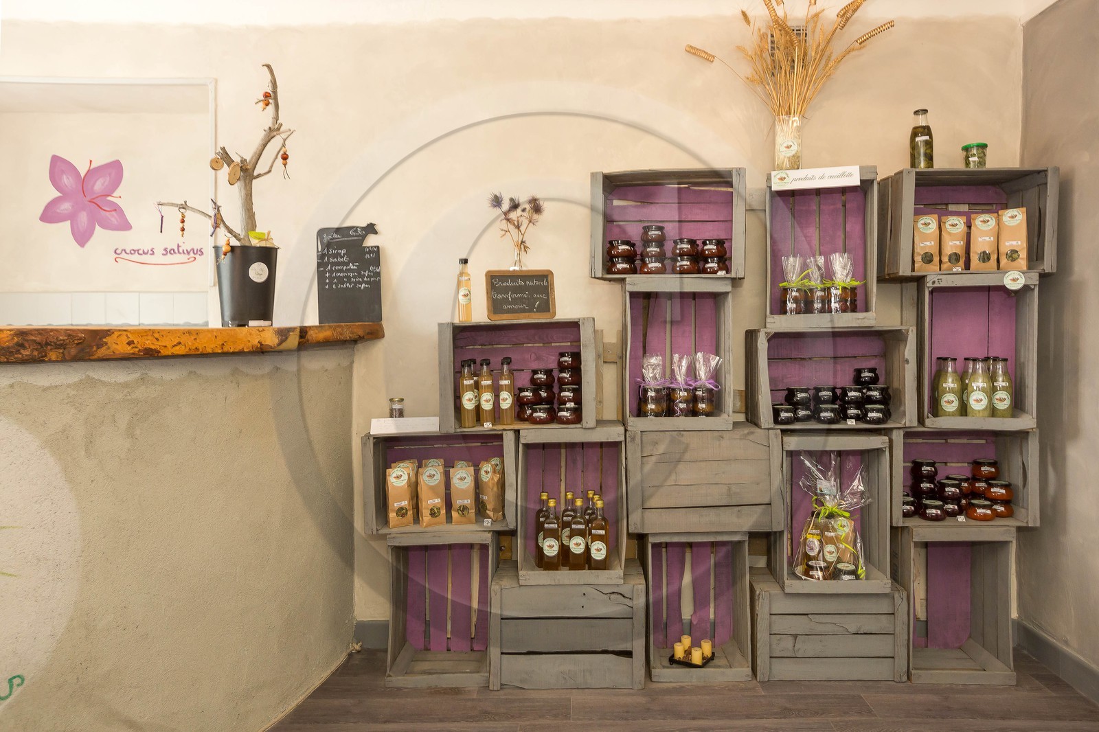 Carole Prost cultive du safran qui ensoleille ses créations Carole Prost cultive du safran qui ensoleille ses créations