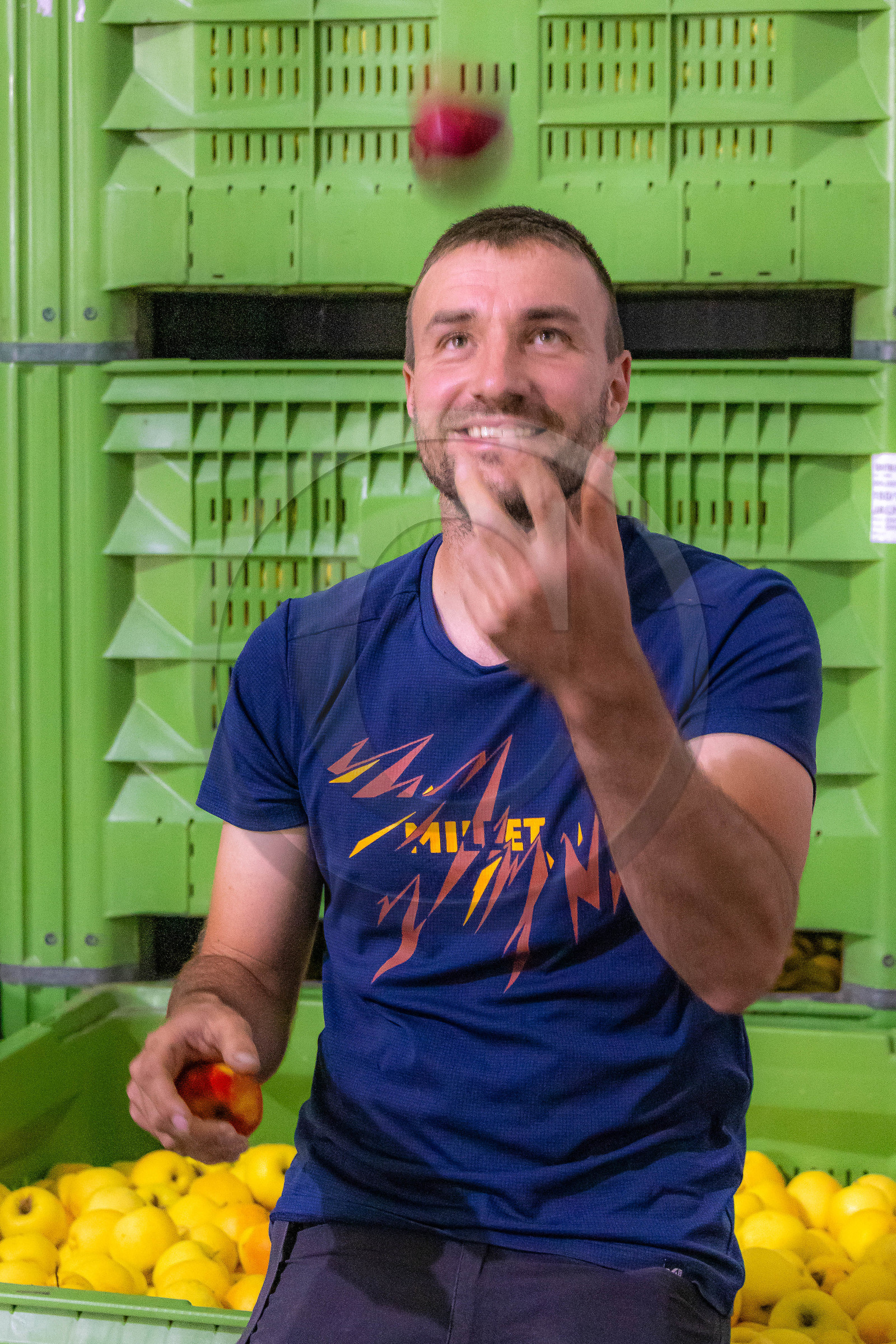 Melve, Gaec de la Maurelle, Adrien Megy Melve, Gaec de la Maurelle, Adrien Megy