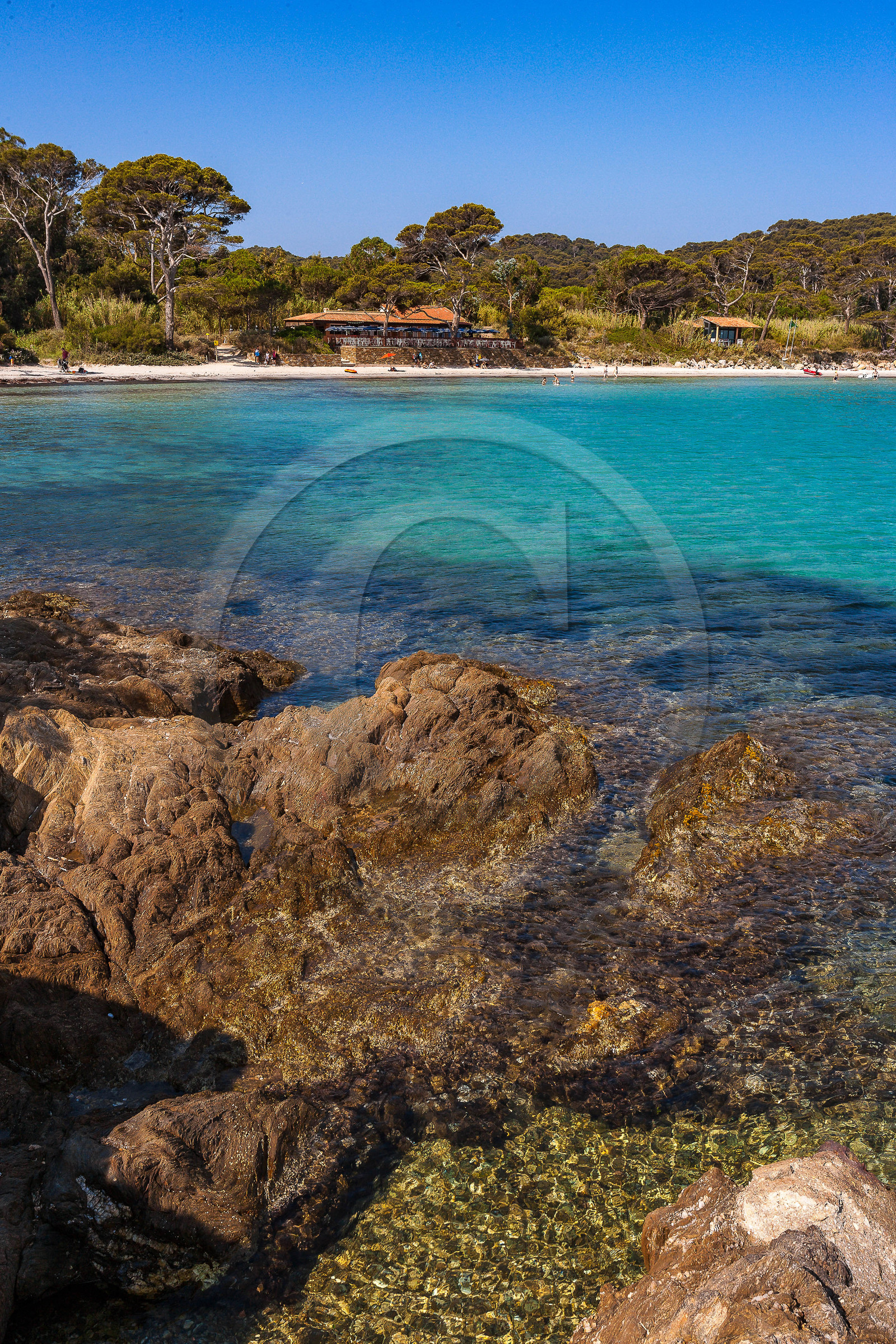 Parc national de Port-Cros Parc national de Port-Cros