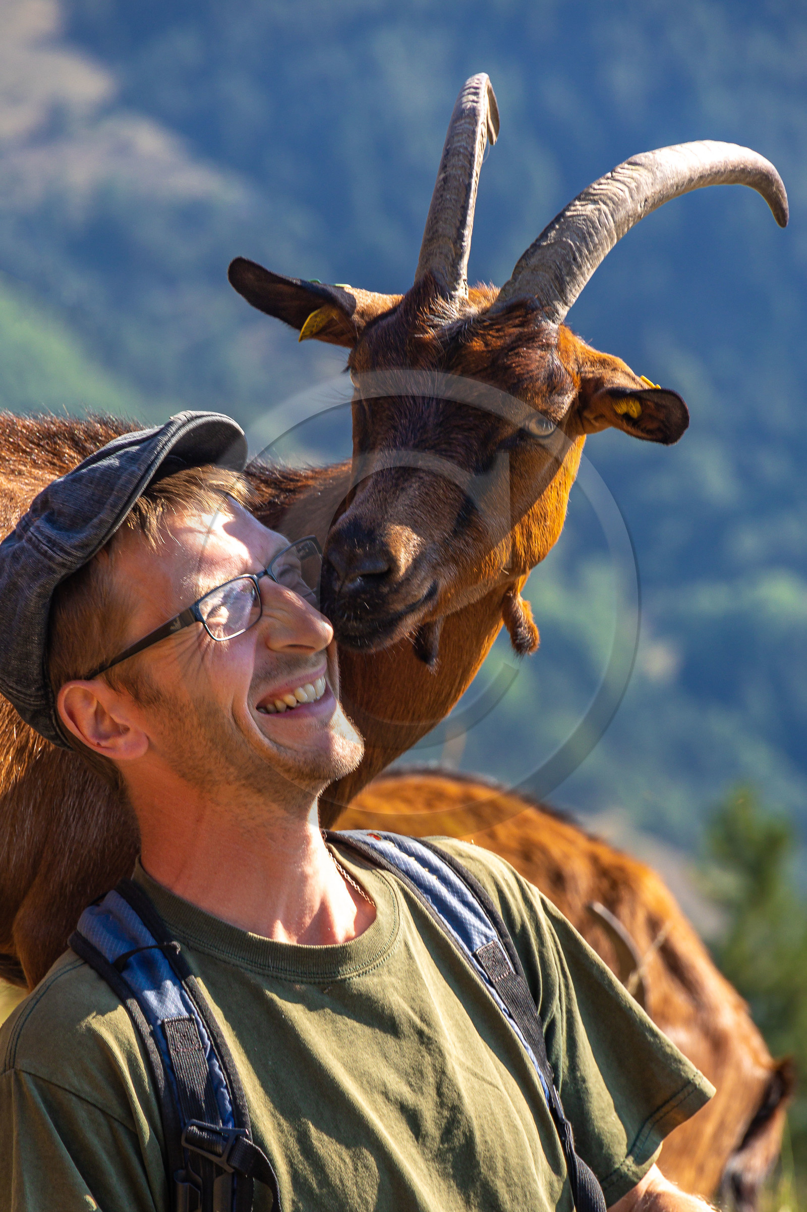 Ferme du Bayle Ferme du Bayle