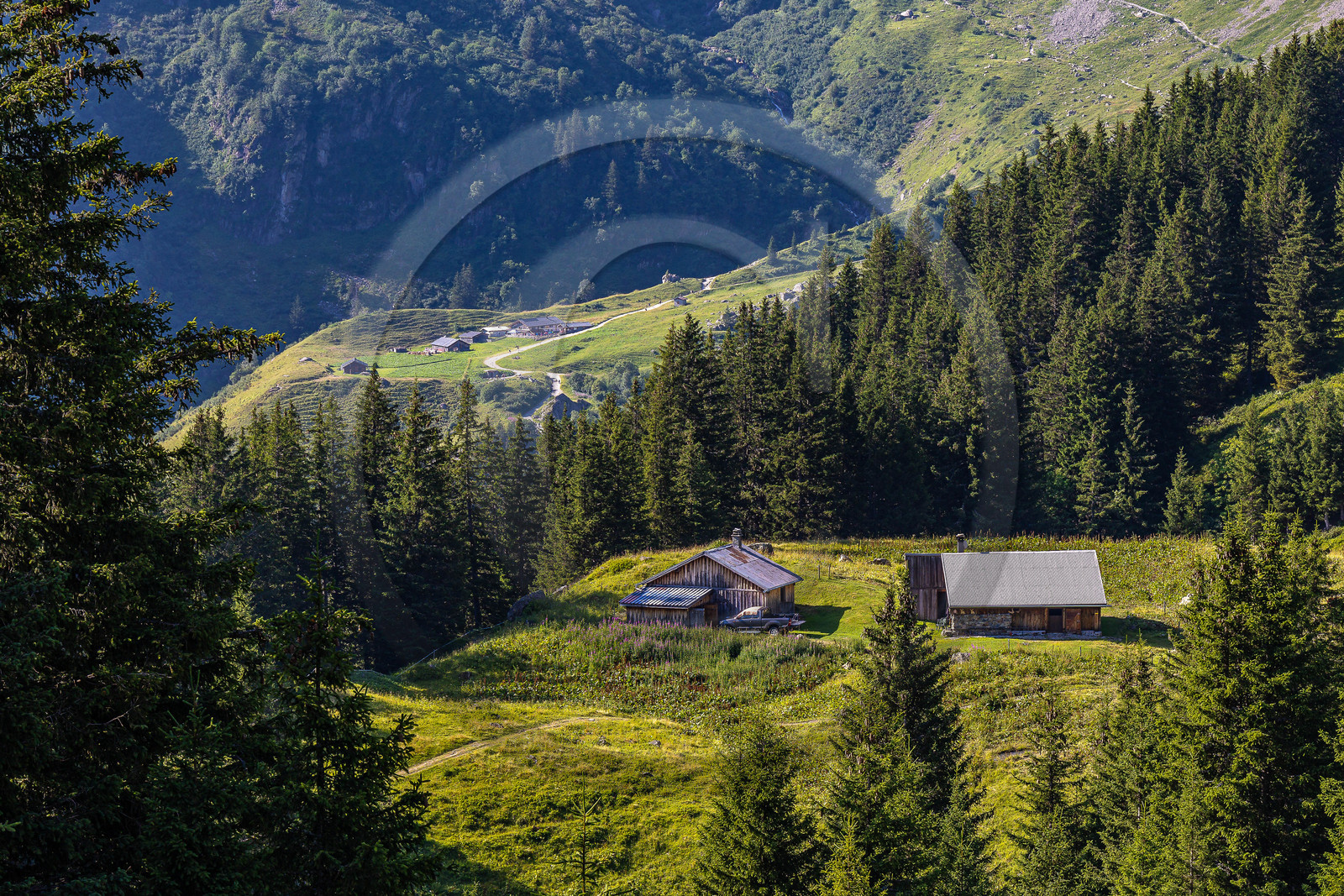 Réserve Naturelle des Contamines-Montjoie Réserve Naturelle des Contamines-Montjoie