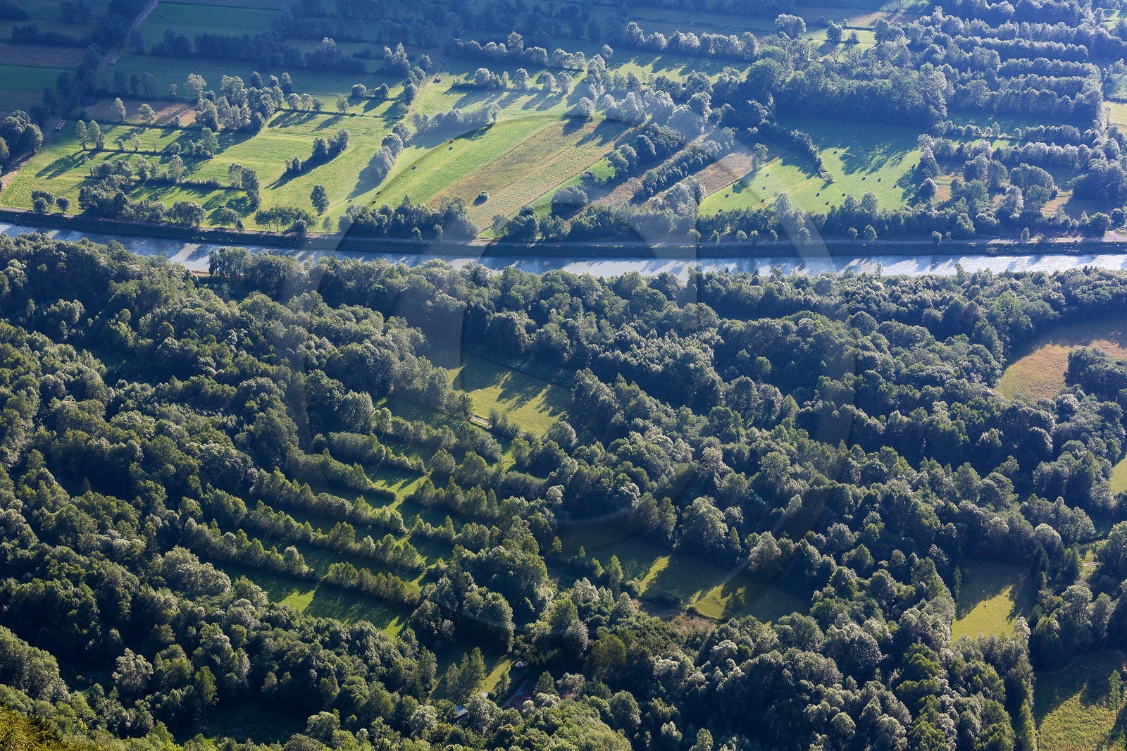 ENS de l'Isère, Vieille morte de Bourg d'Oisans ENS de l'Isère, Vieille morte de Bourg d'Oisans