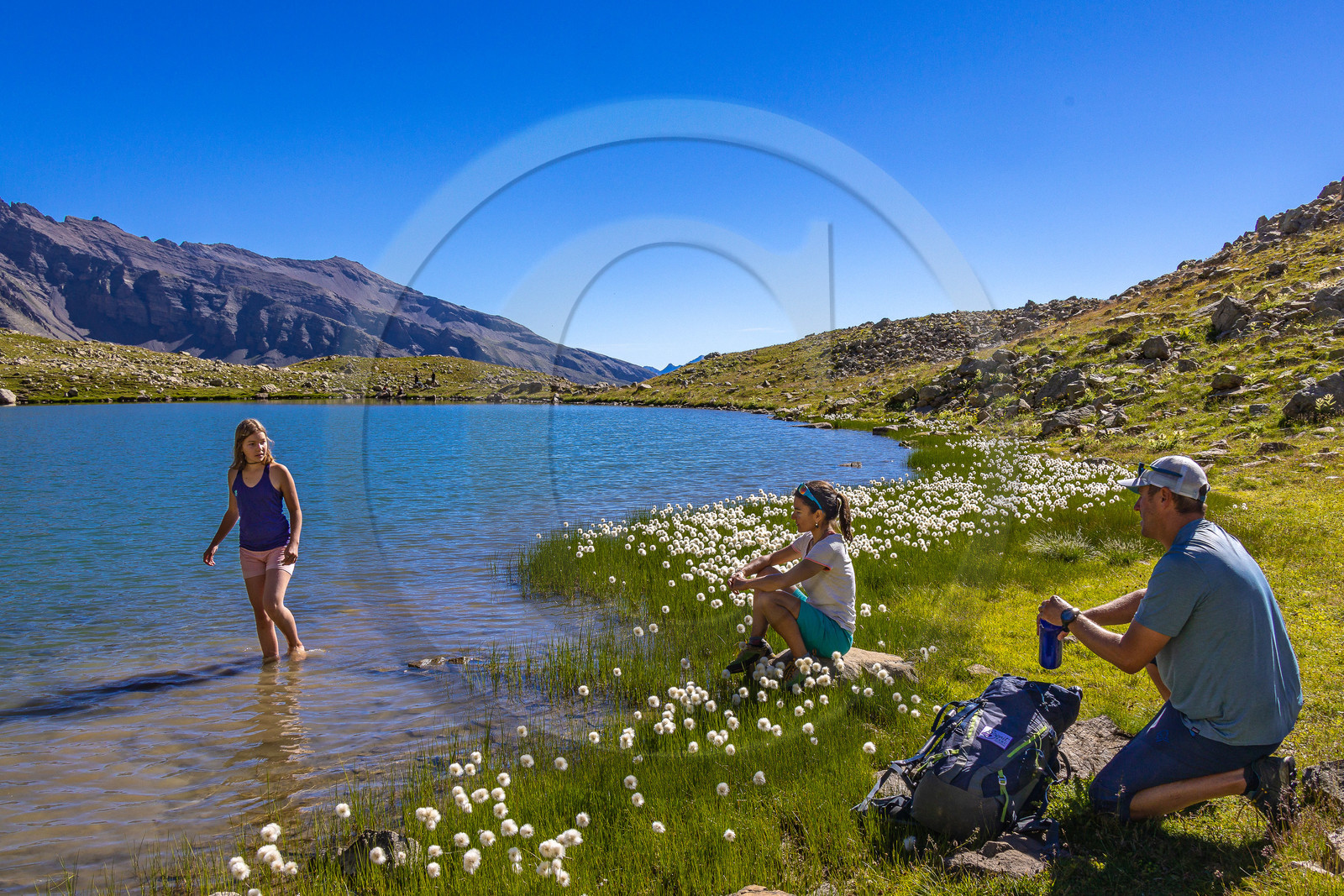 Lac Palluel